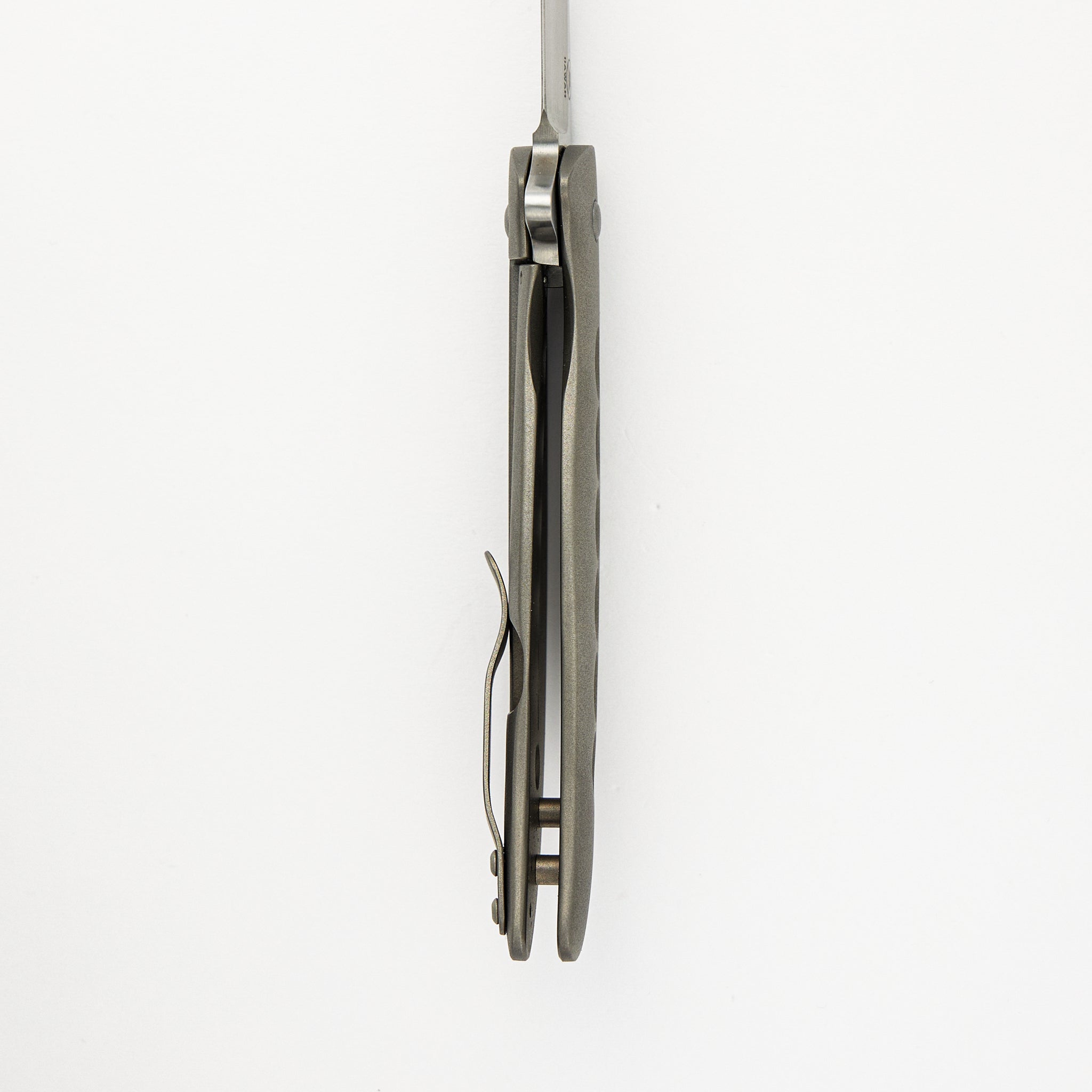 Persian Flipper