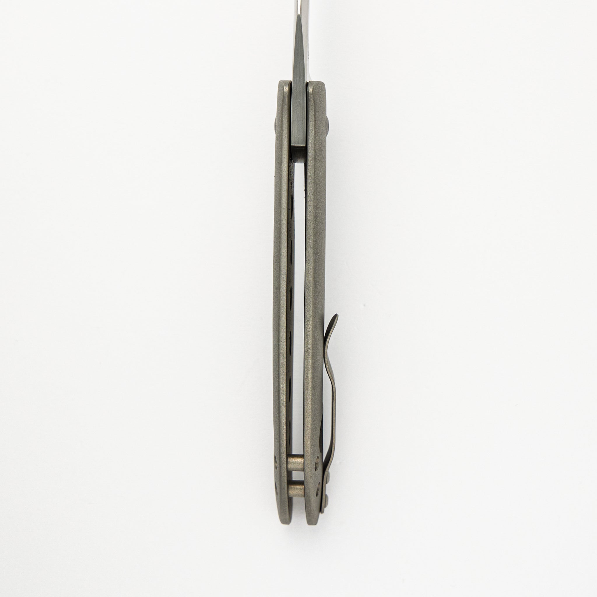 Persian Flipper