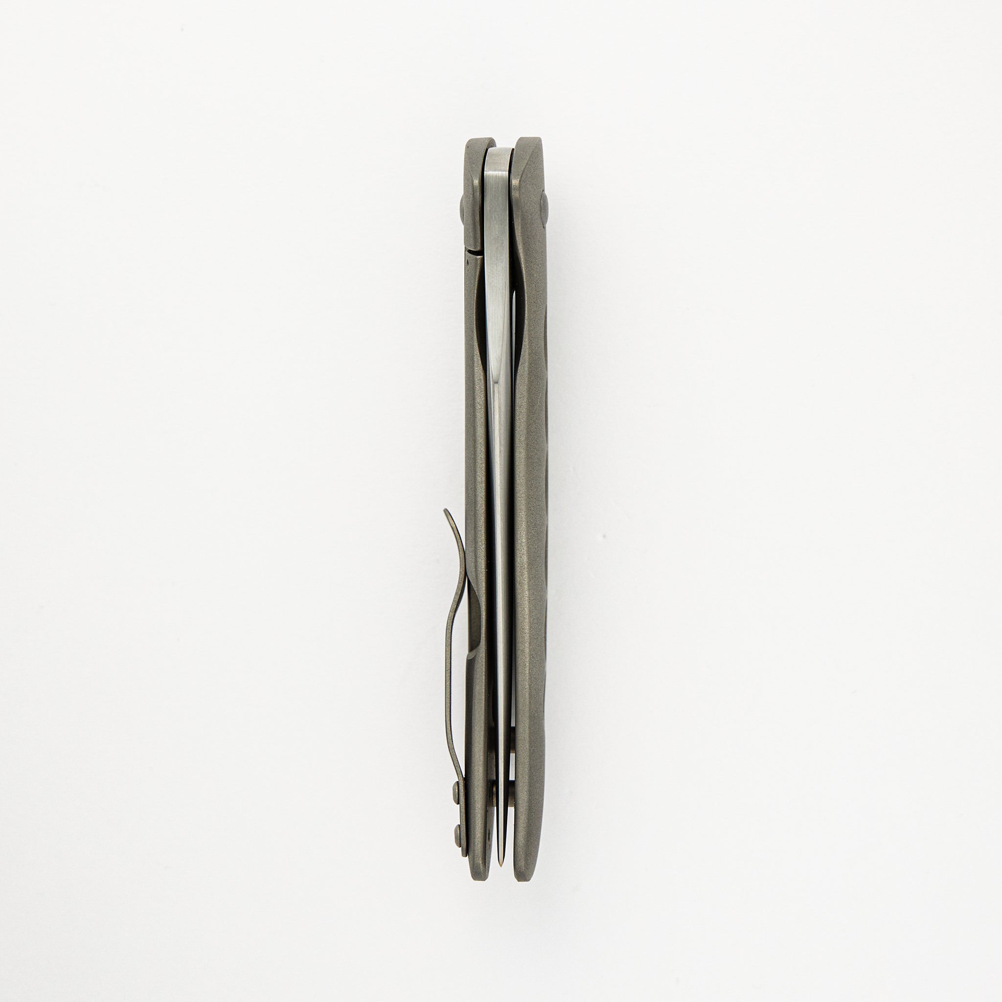 Persian Flipper