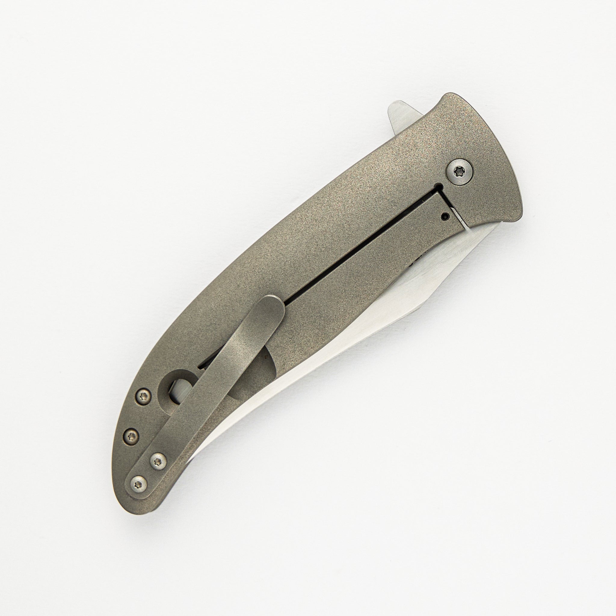 Persian Flipper