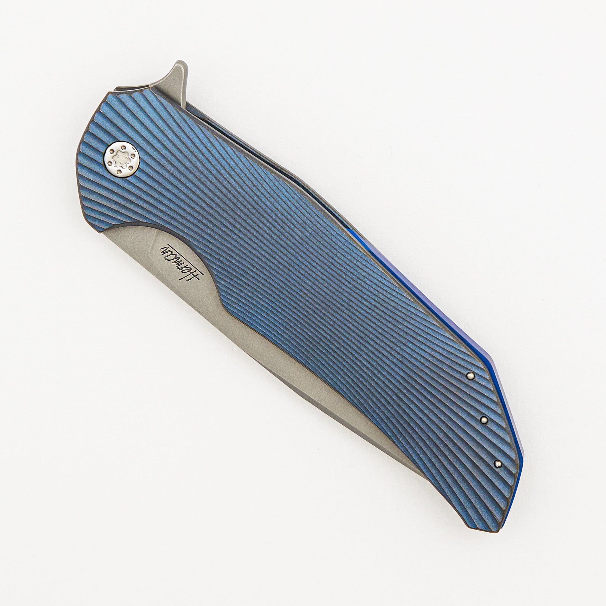 Dragonfly 148