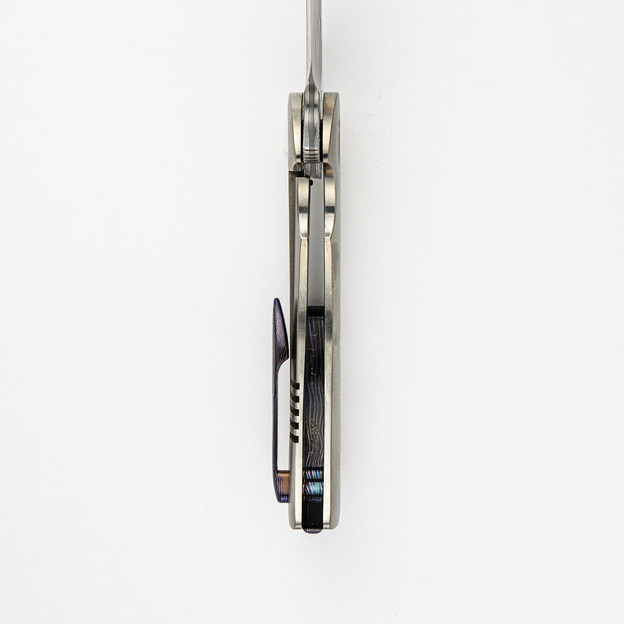 Frank Fischer Collaboration Warbird