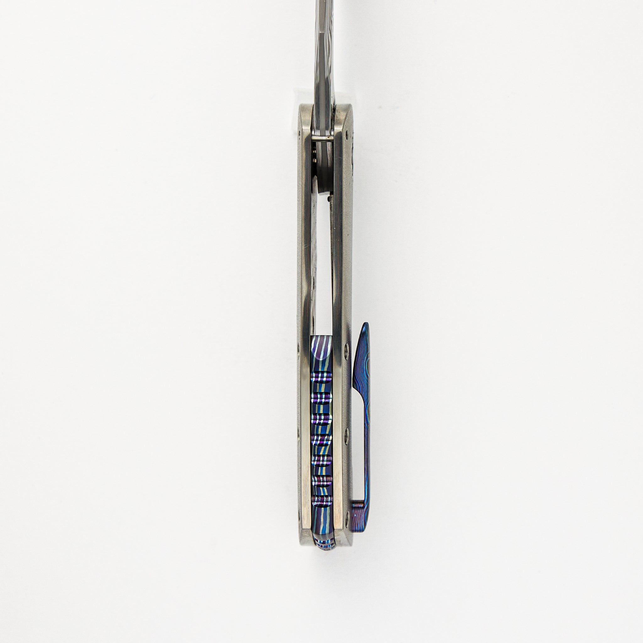 Frank Fischer Collaboration Warbird