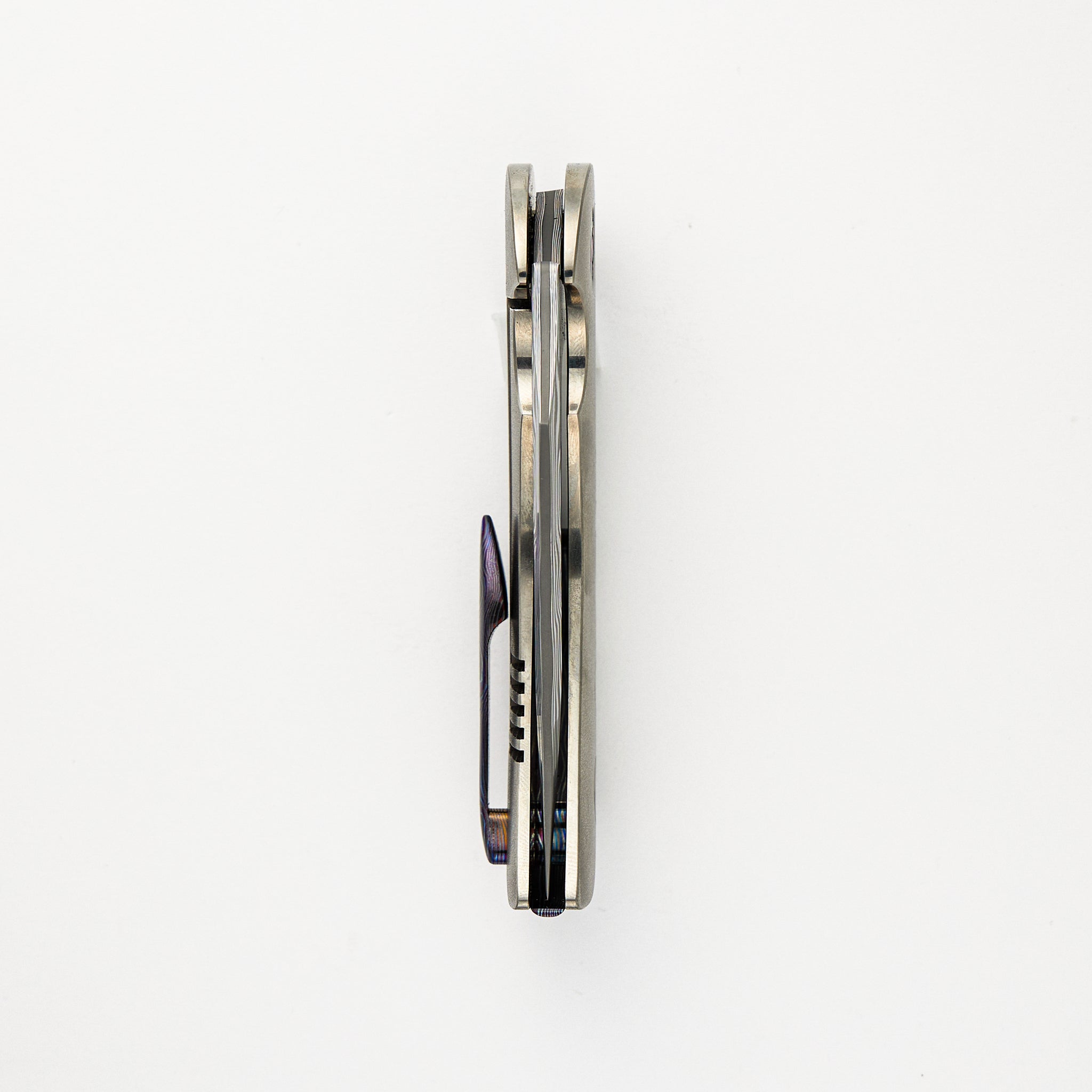 Frank Fischer Collaboration Warbird