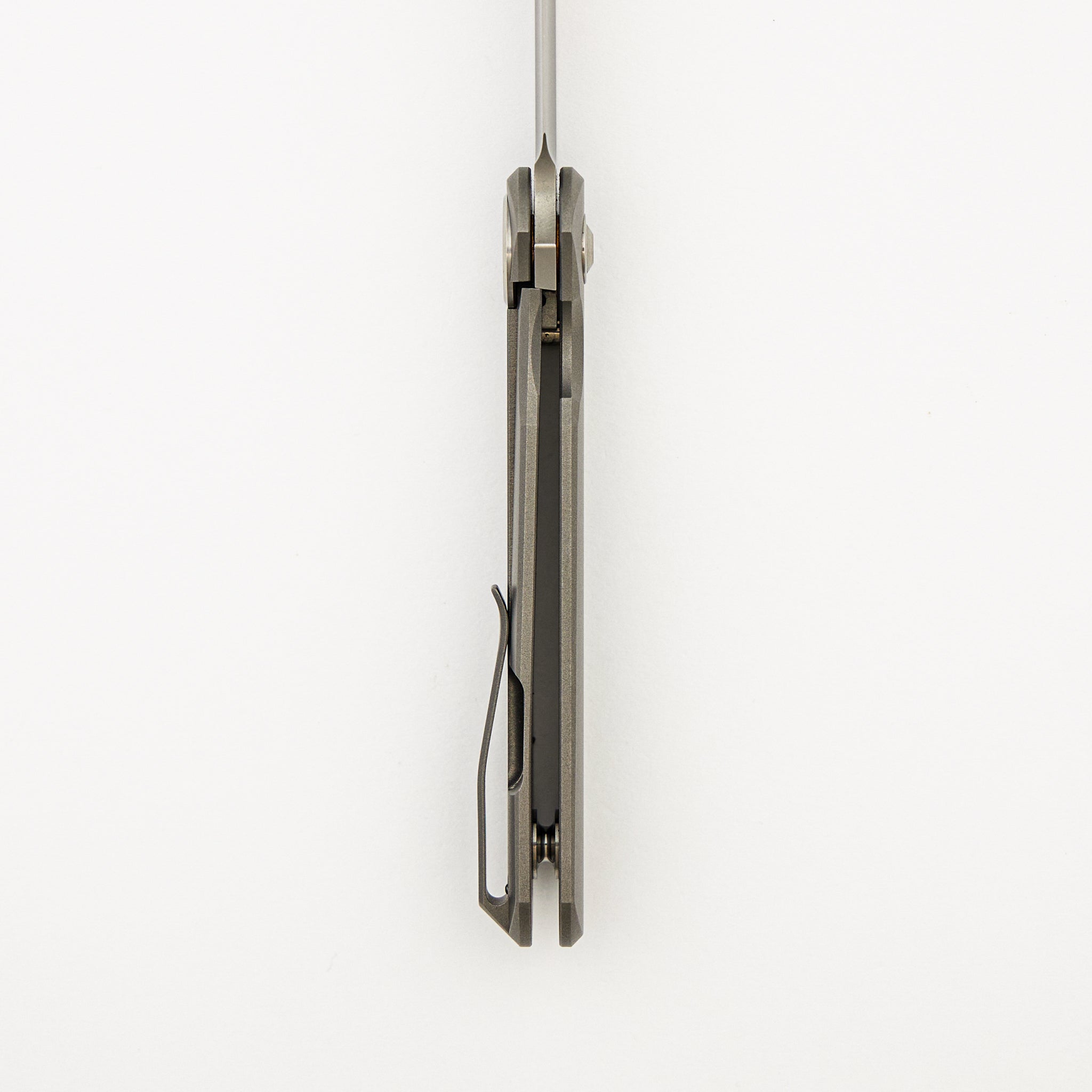 Shamwari 3.3