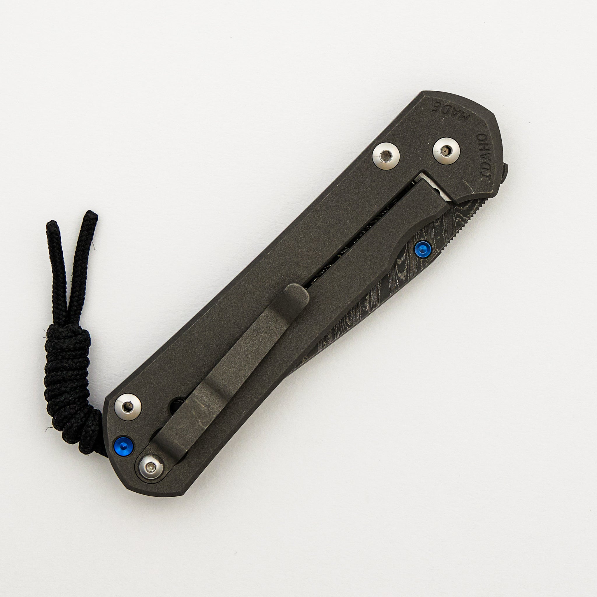 Large Sebenza 31 Unique Graphic - Drop Point Boomerang Blade - Blue Single Thumb Lug