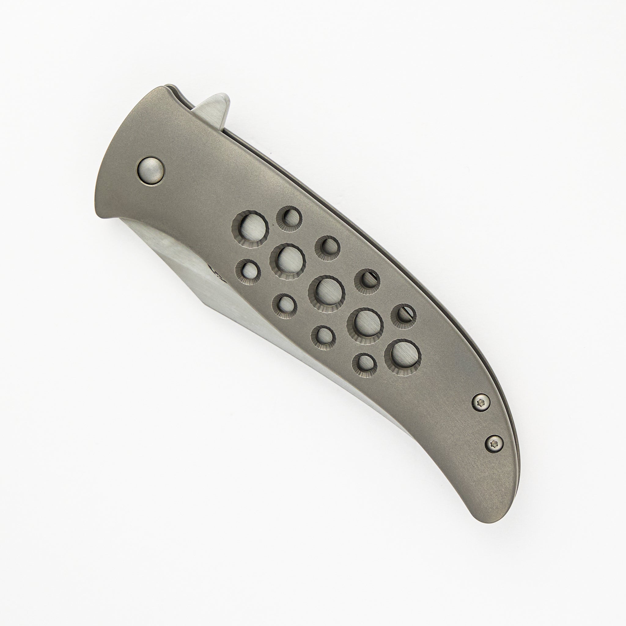 Persian Flipper