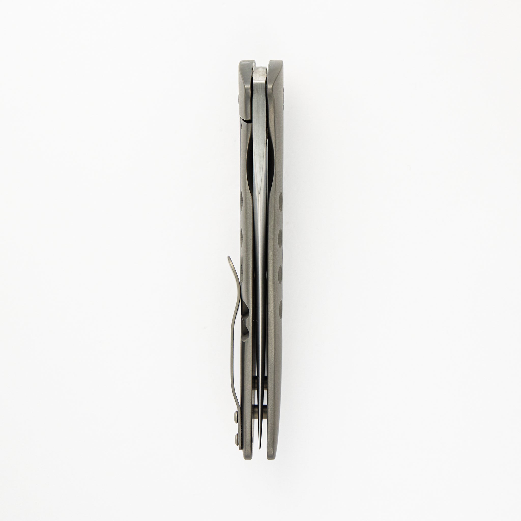 Persian Flipper
