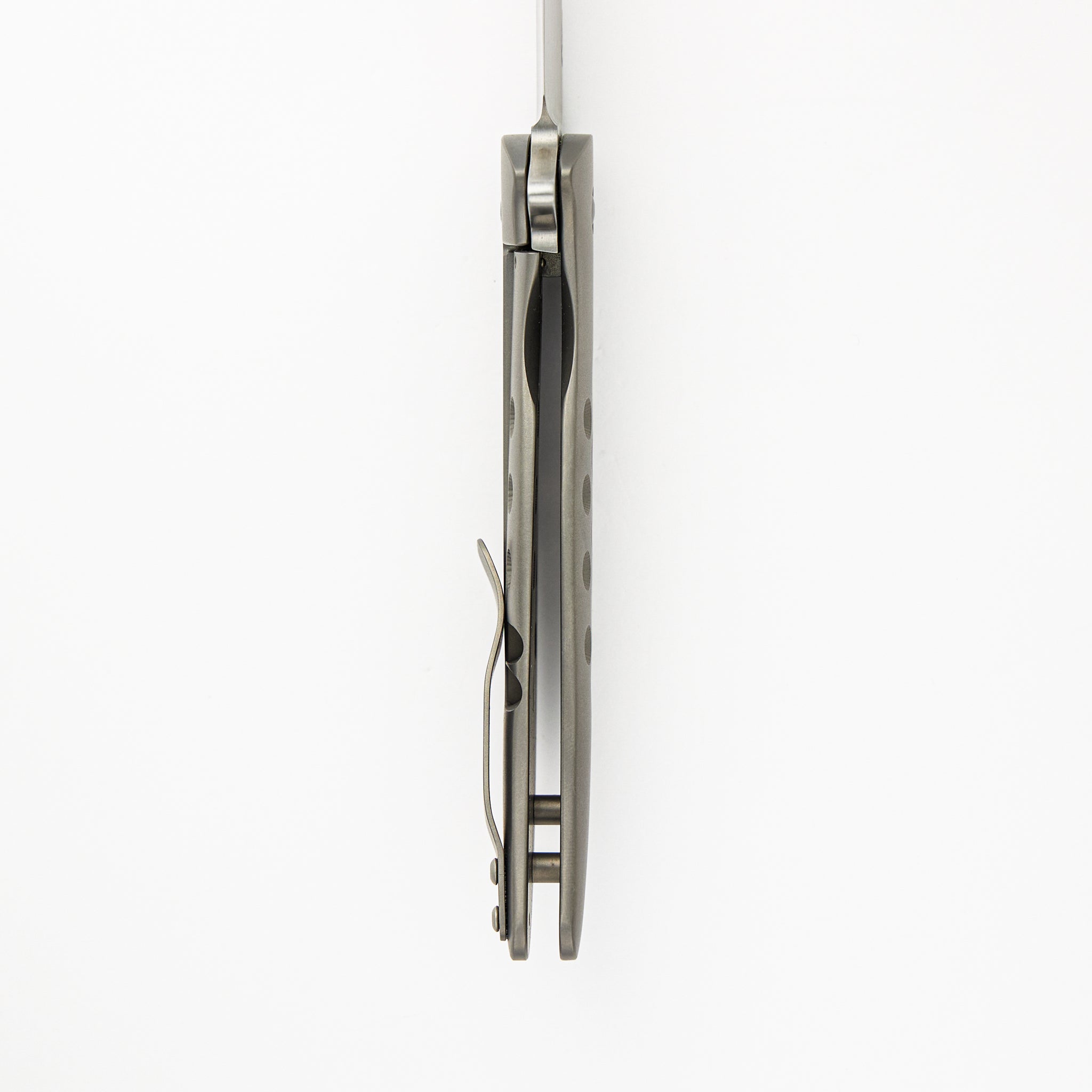 Persian Flipper