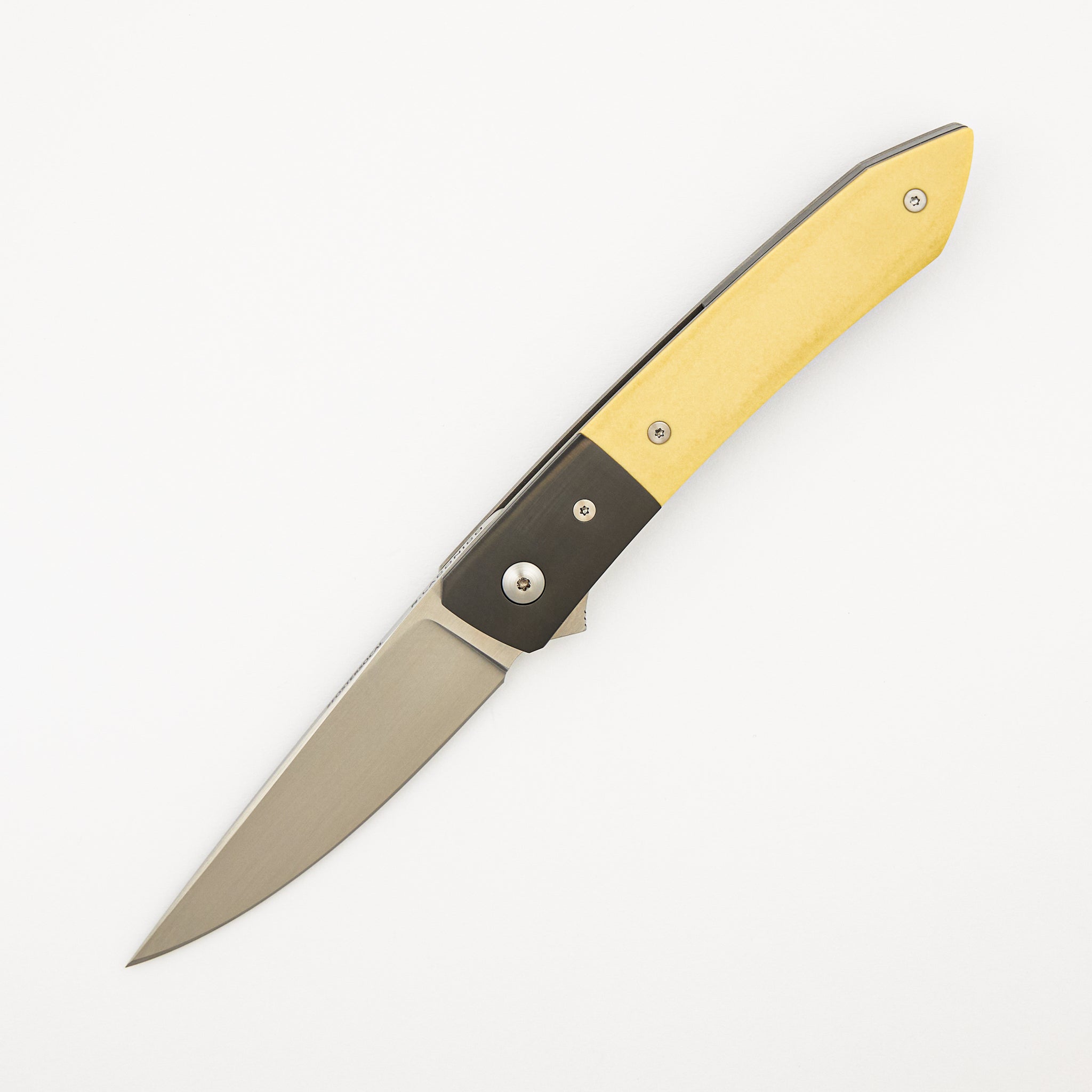 Ray Laconico Collaboration Anchovy