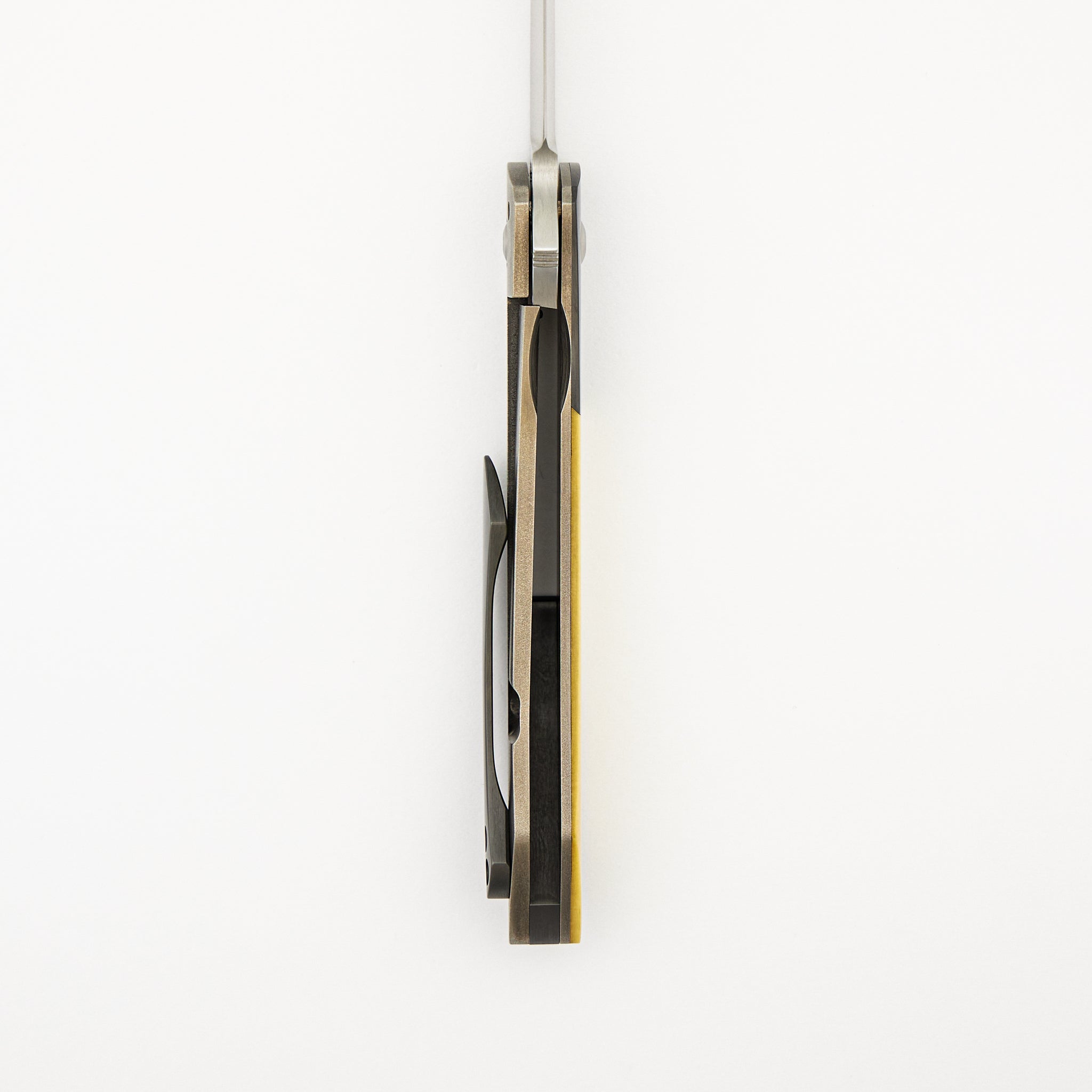 Ray Laconico Collaboration Anchovy