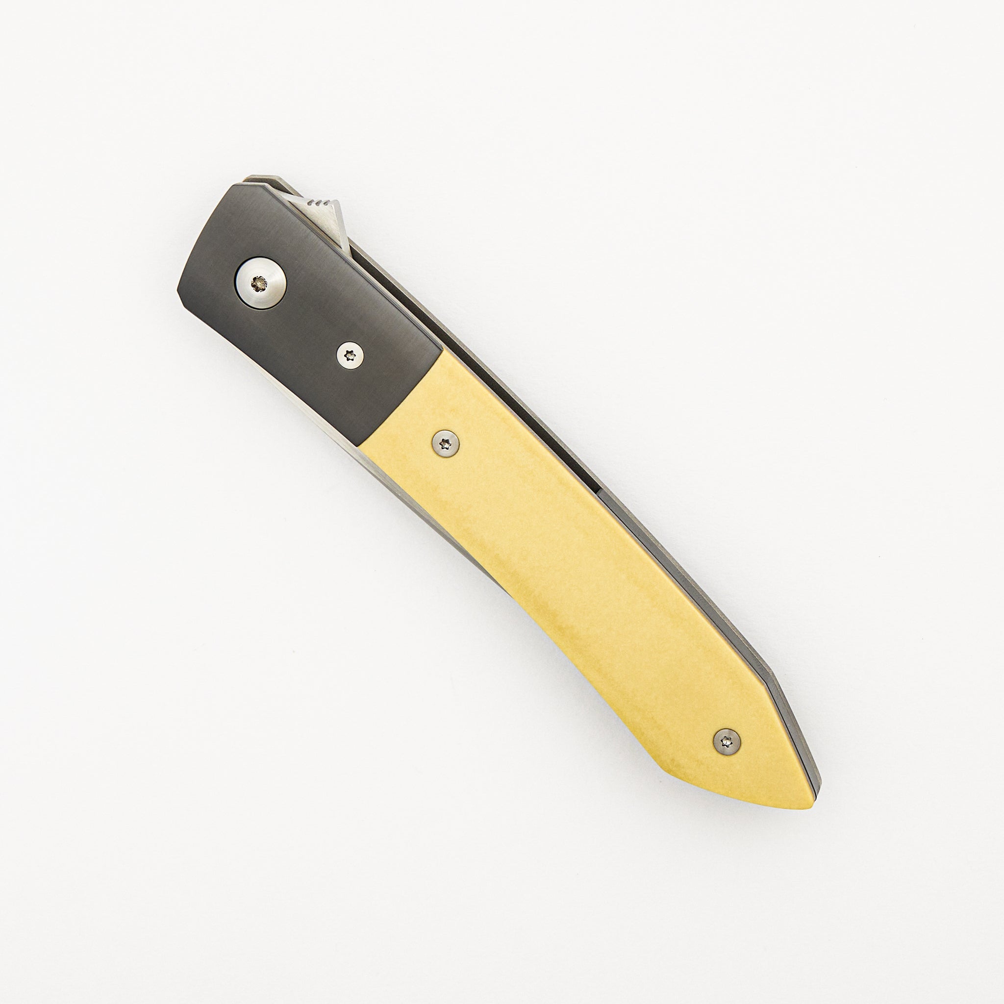 Ray Laconico Collaboration Anchovy