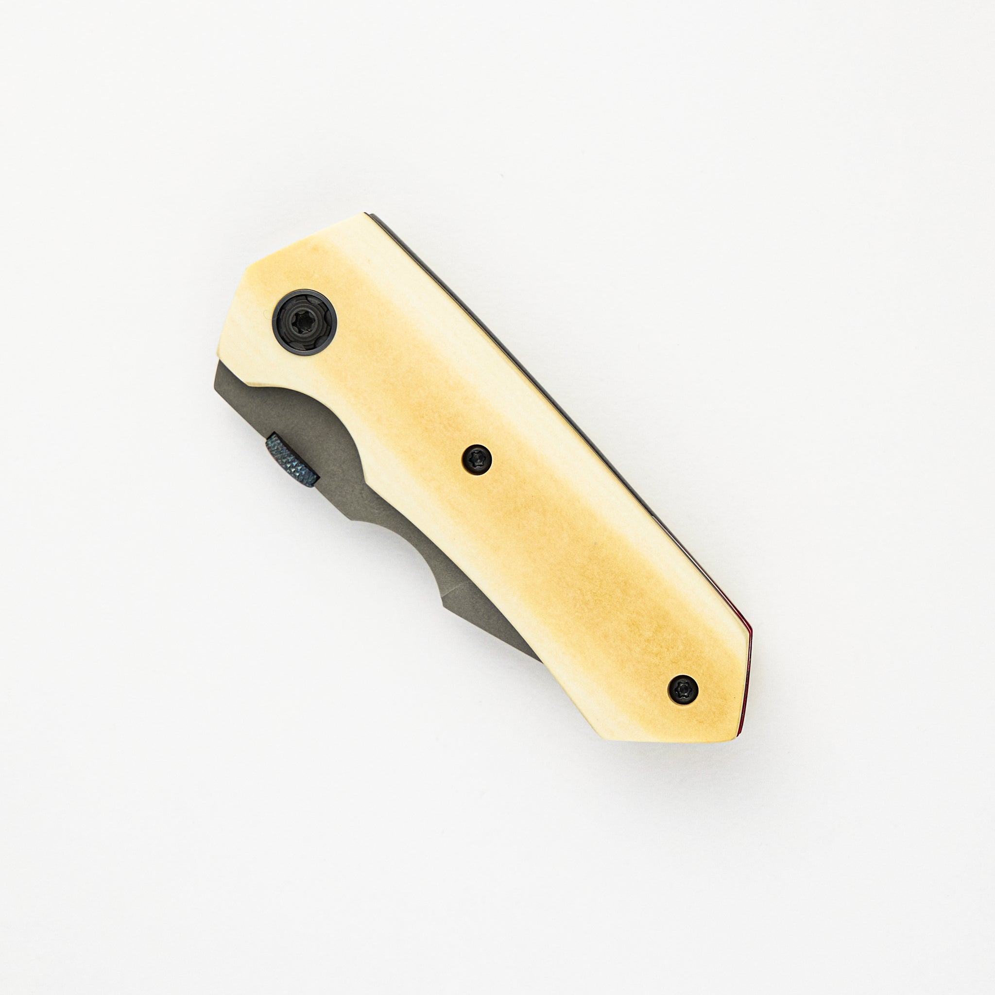 Squeegee