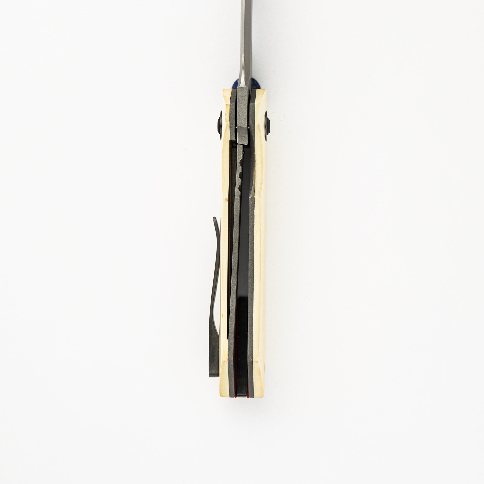 Squeegee