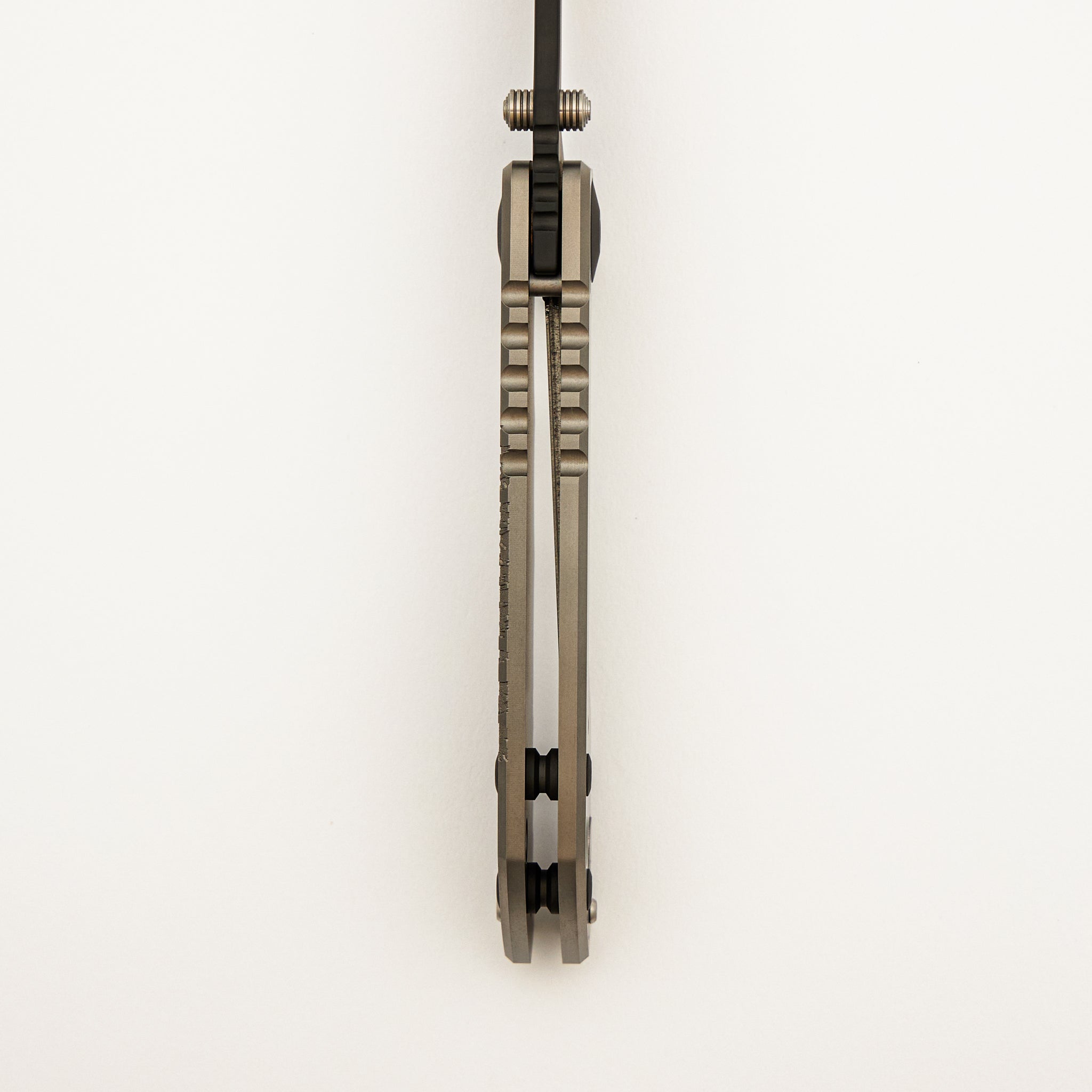 Harsey Folder - Fir Tree