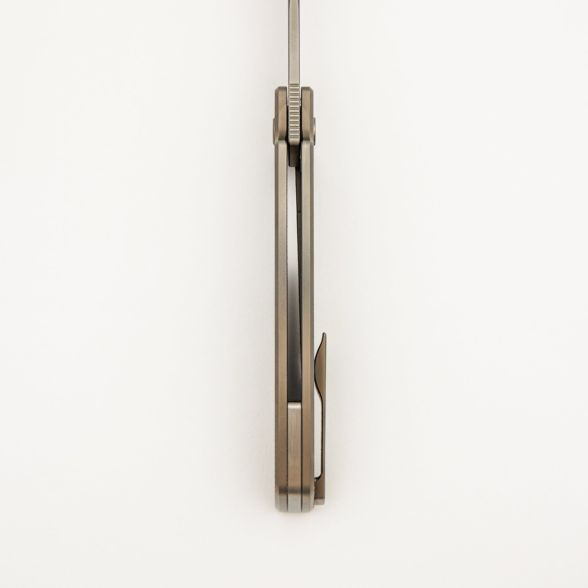 Cedar Saltwater #216