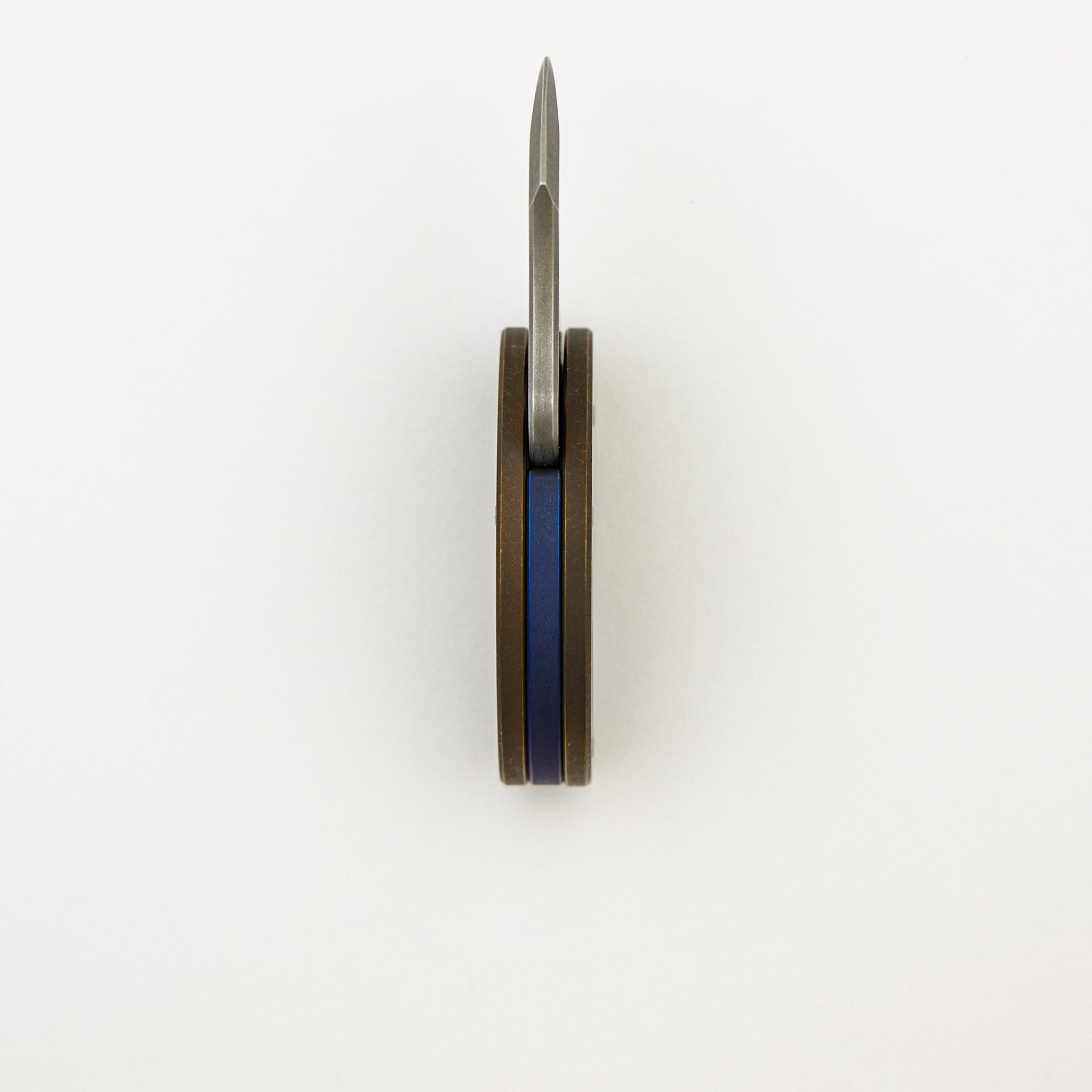 Baby Raptor Coin Claw