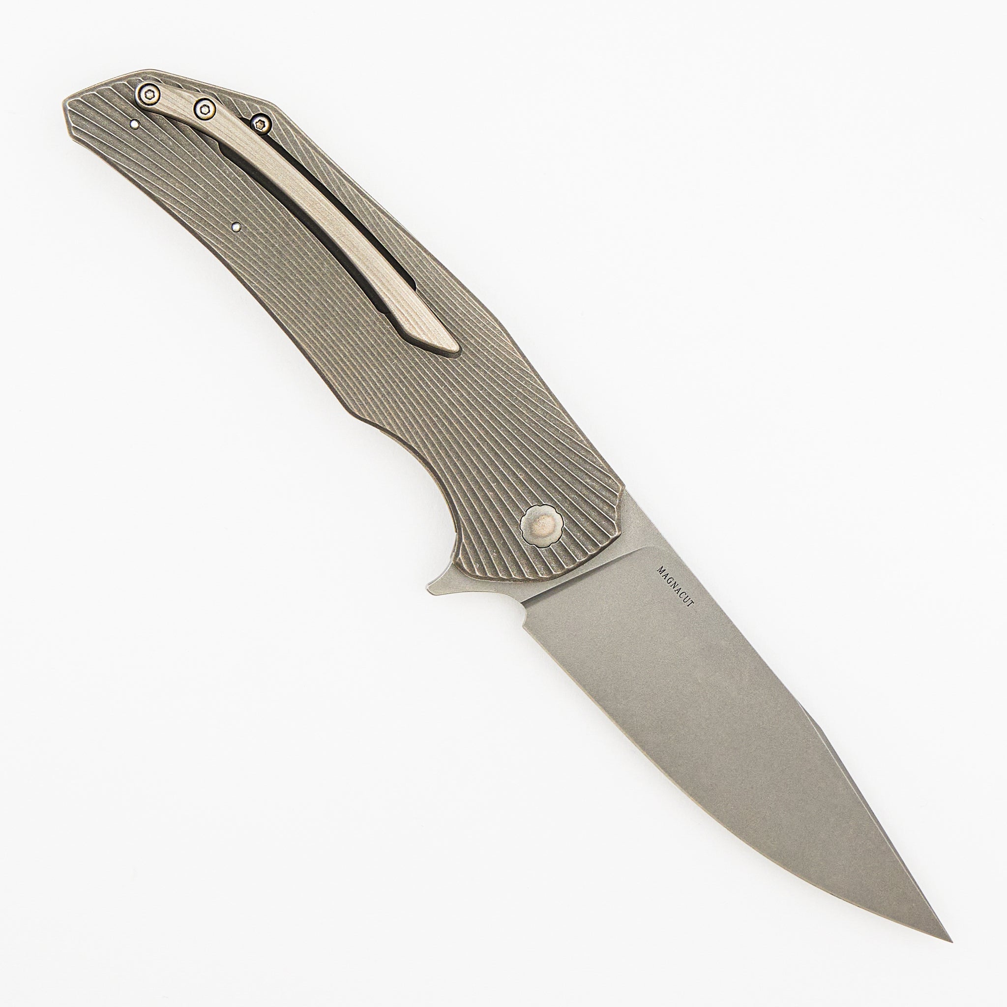 Folder Dragonfly #0447