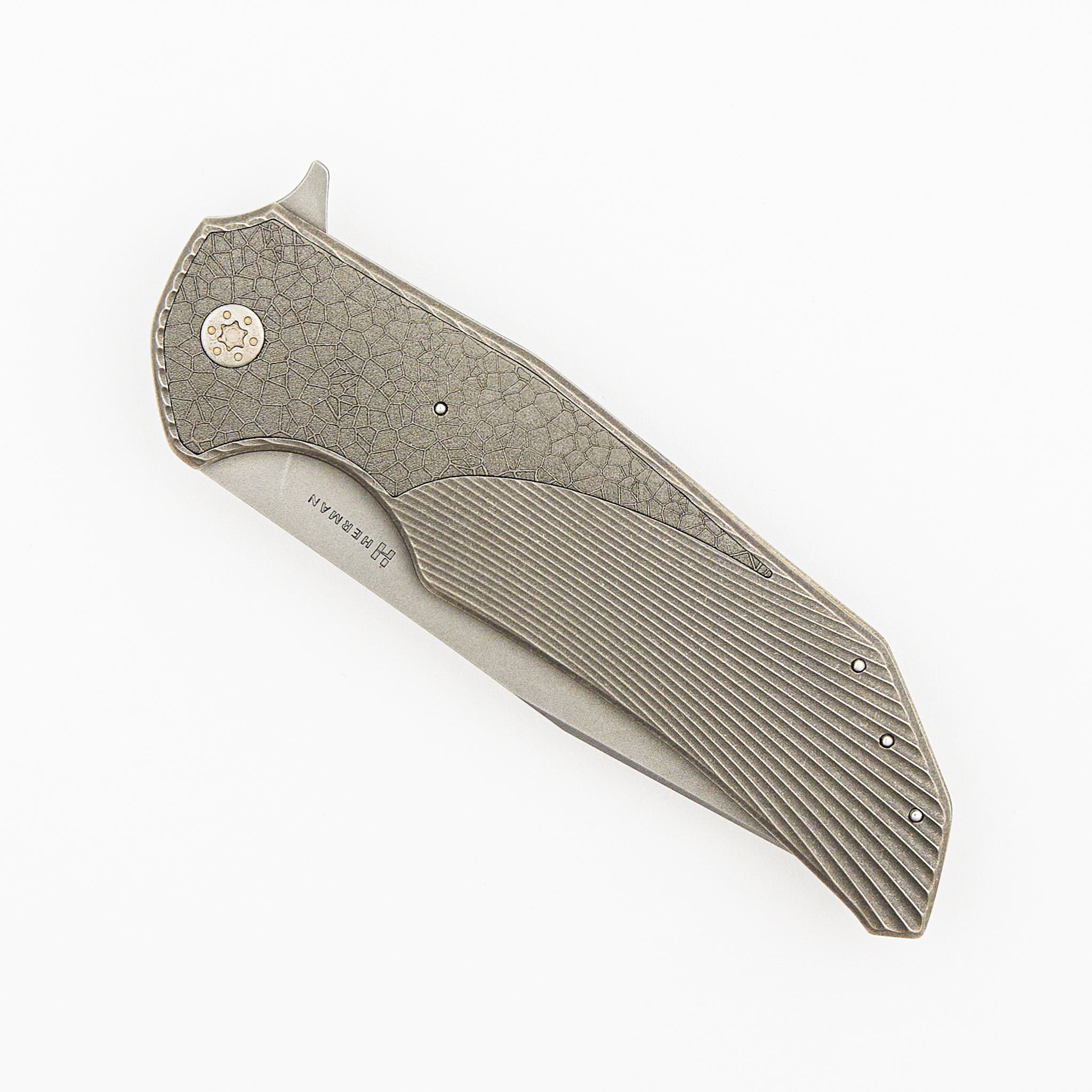 Folder Dragonfly #0447