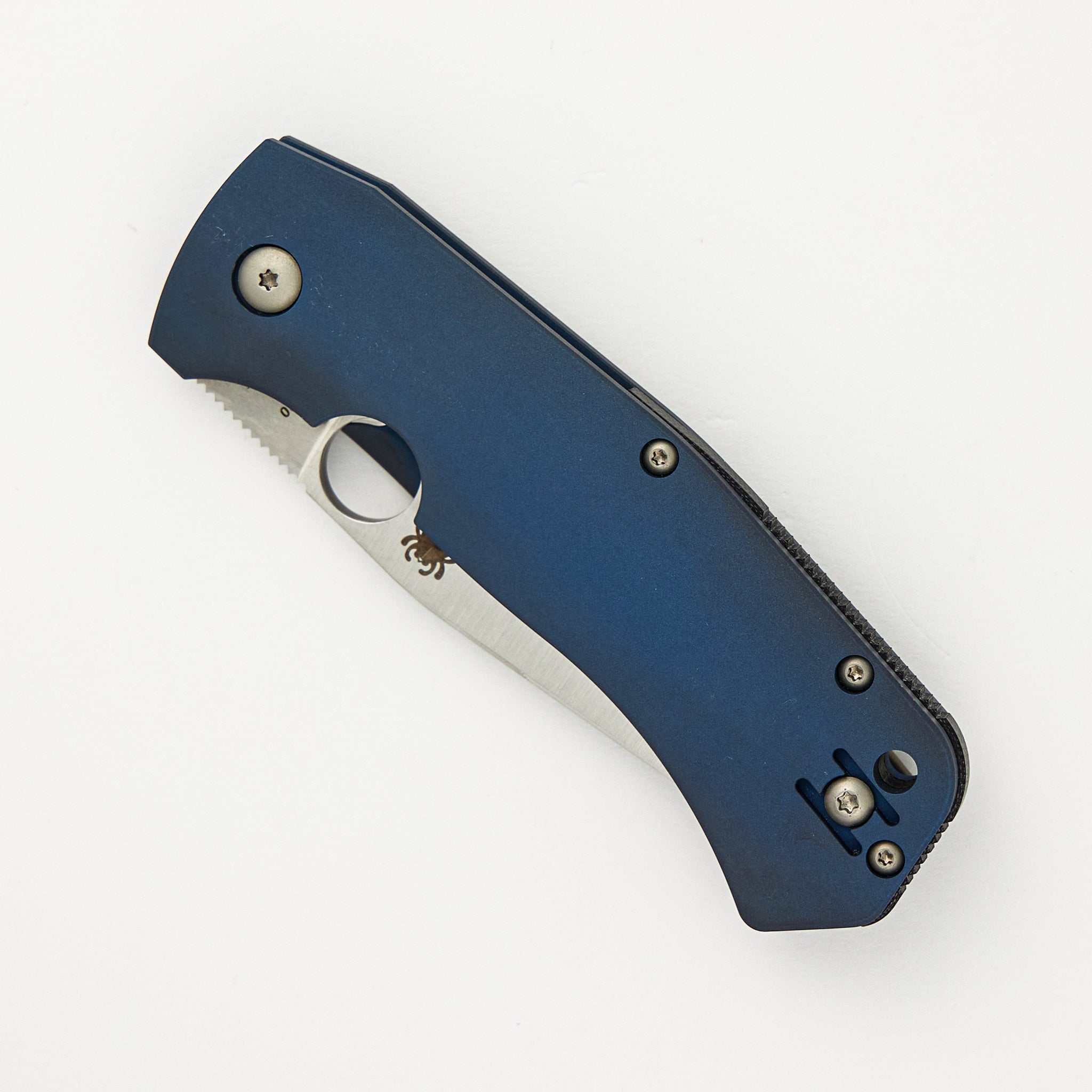 Slysz Bowie