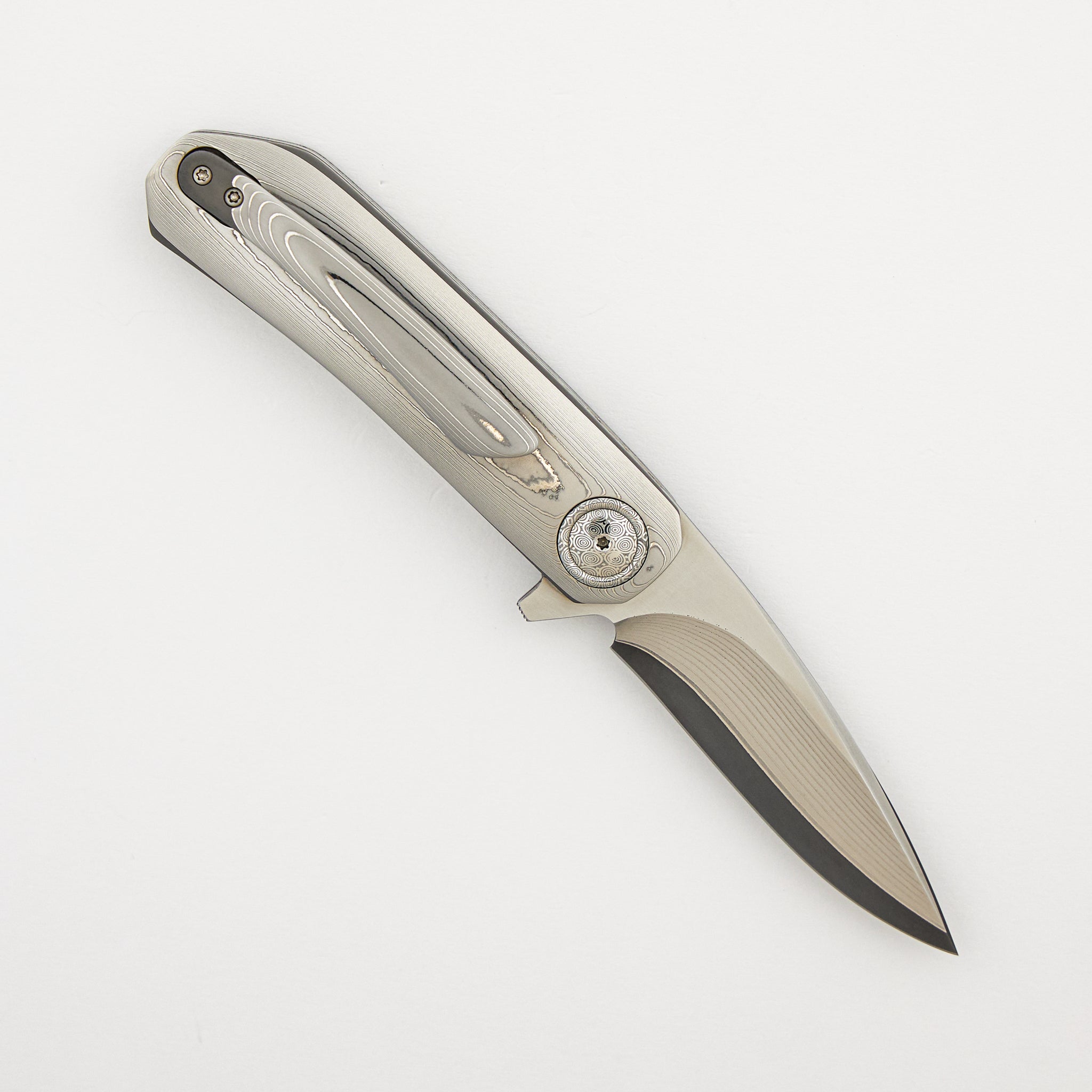 HB12 Kgaho - Vervet Monkey