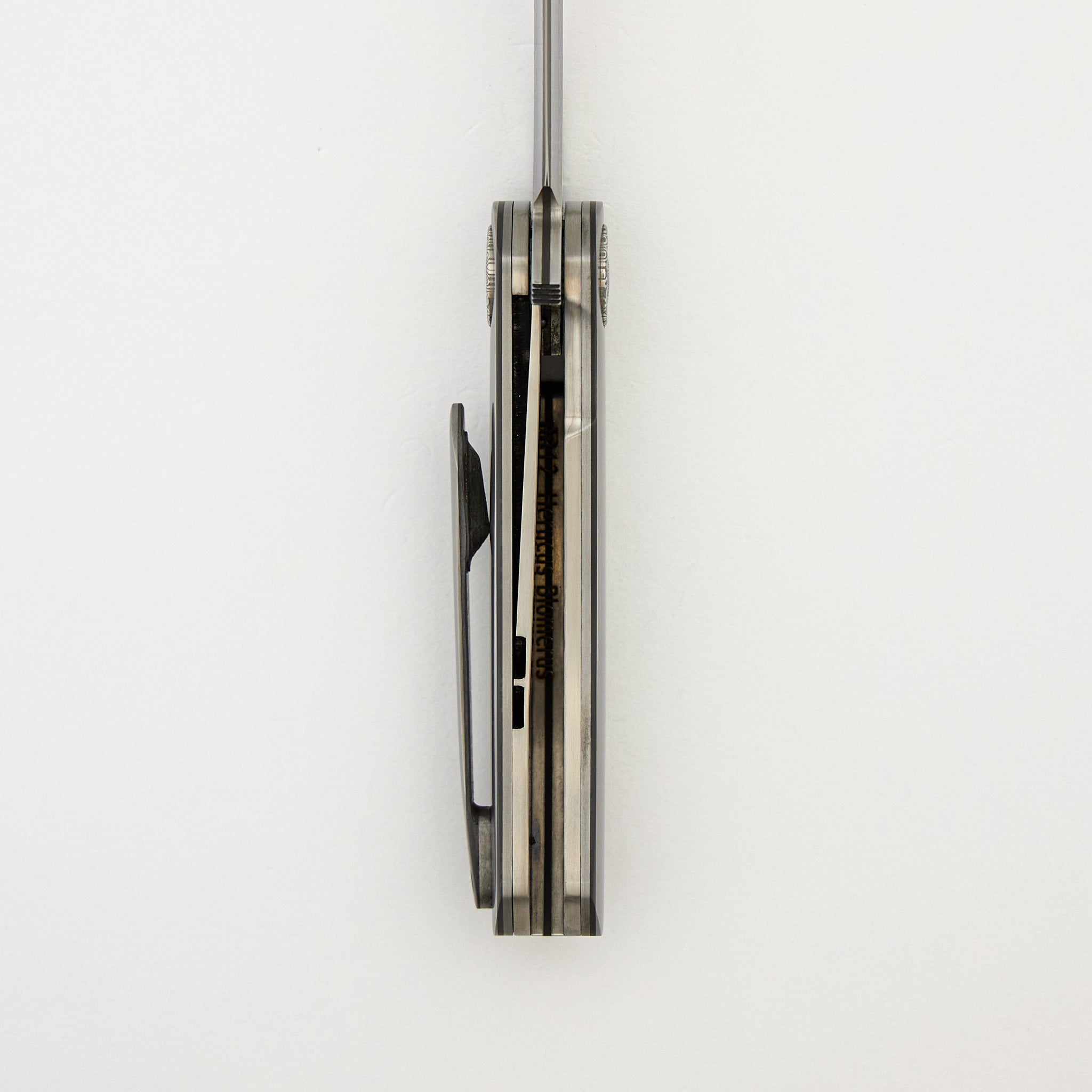 HB12 Kgaho - Vervet Monkey