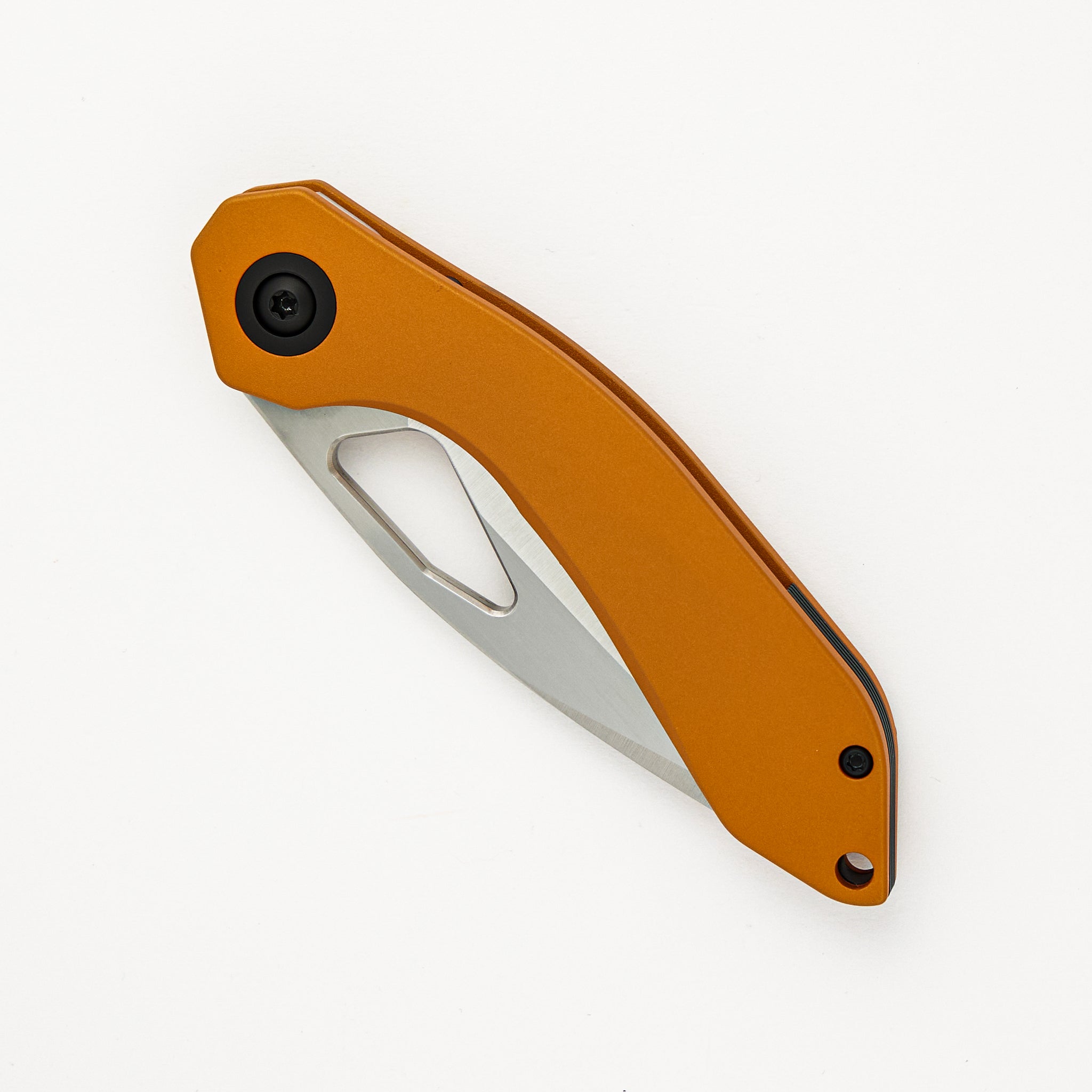 Bull Terrier Proof Run