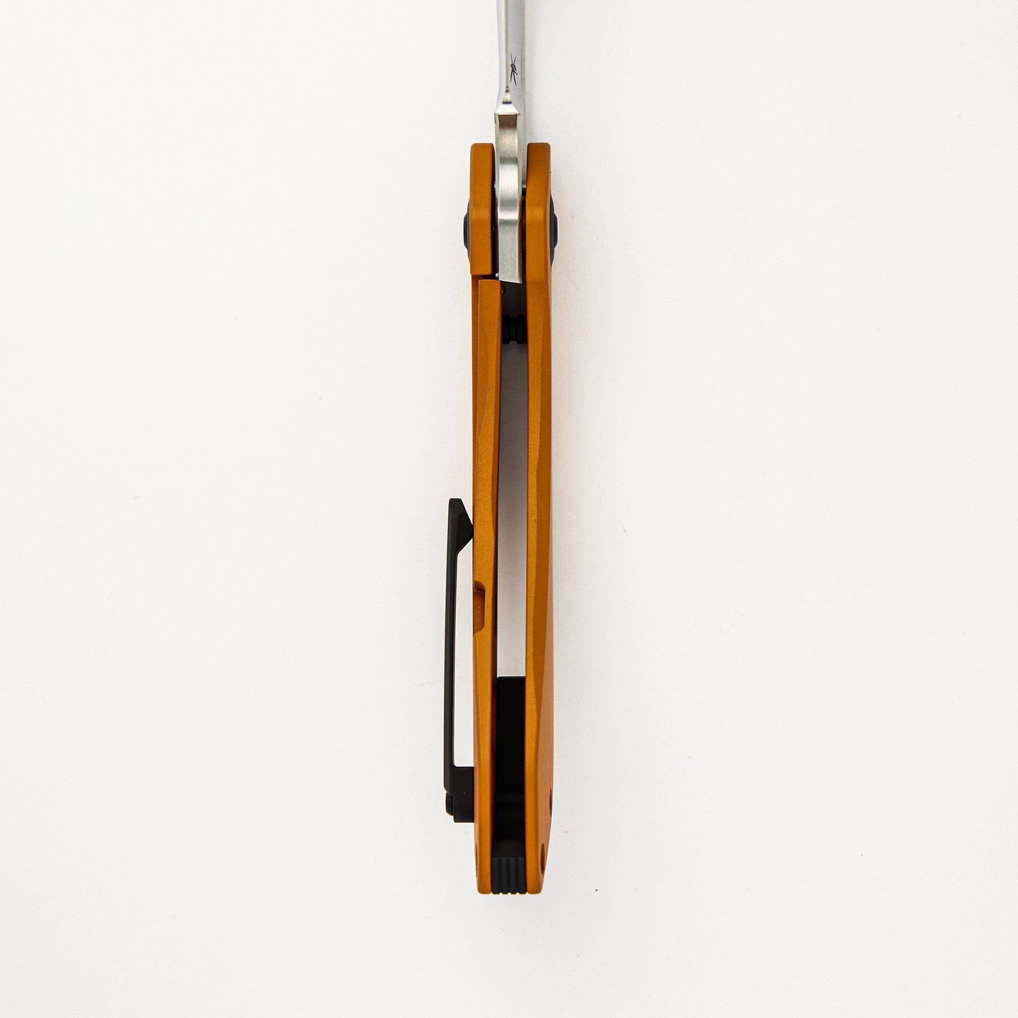 Bull Terrier Proof Run