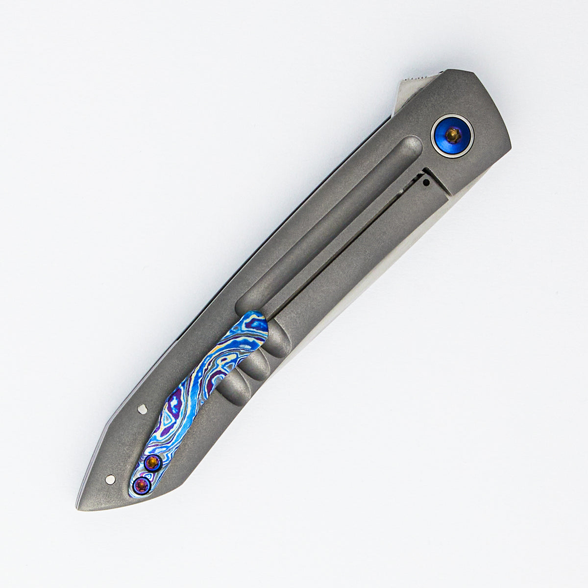 Anchovy