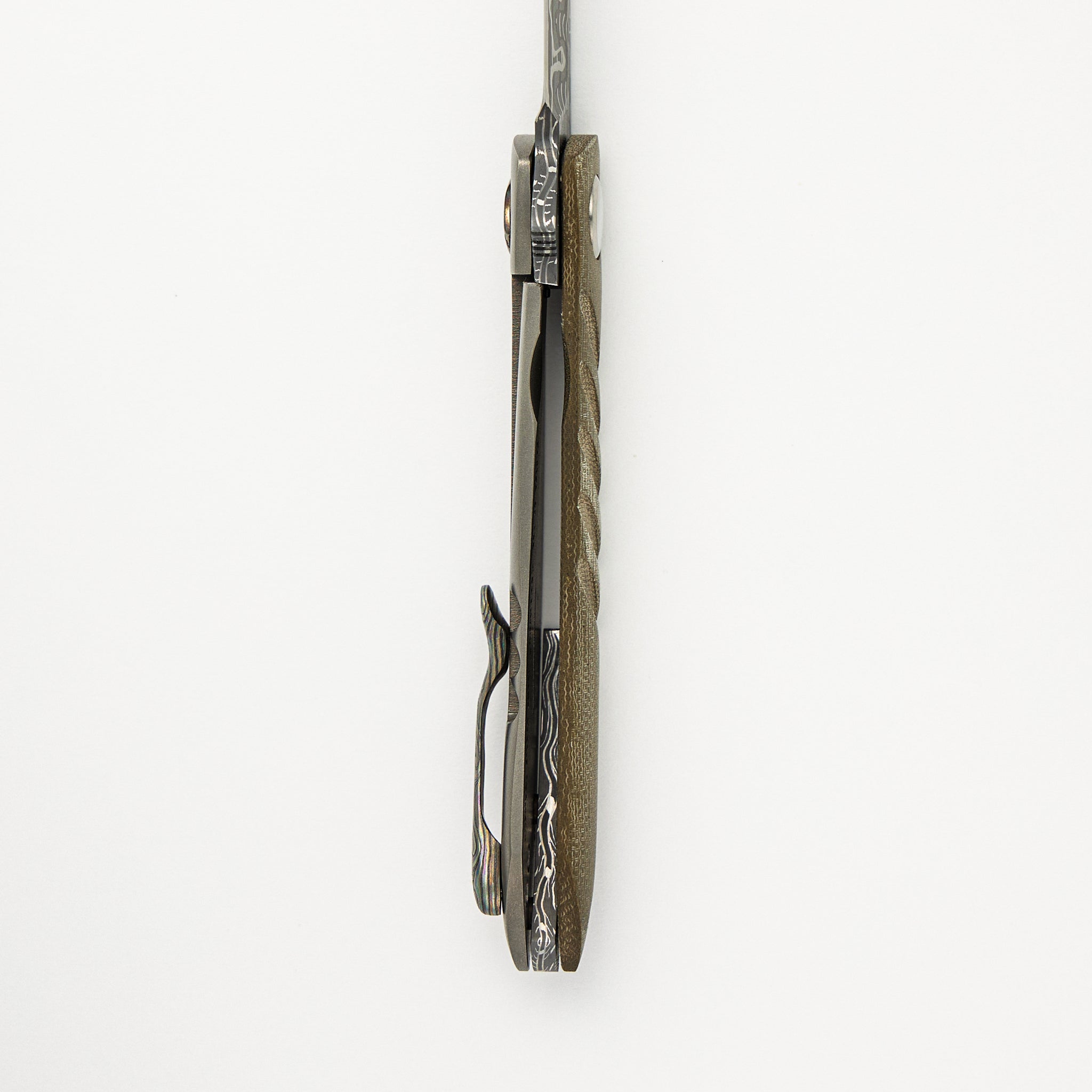 Anchovy