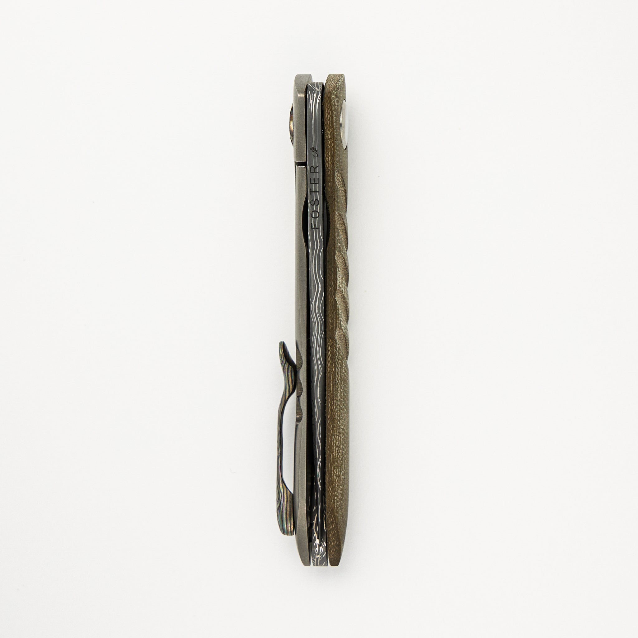 Anchovy