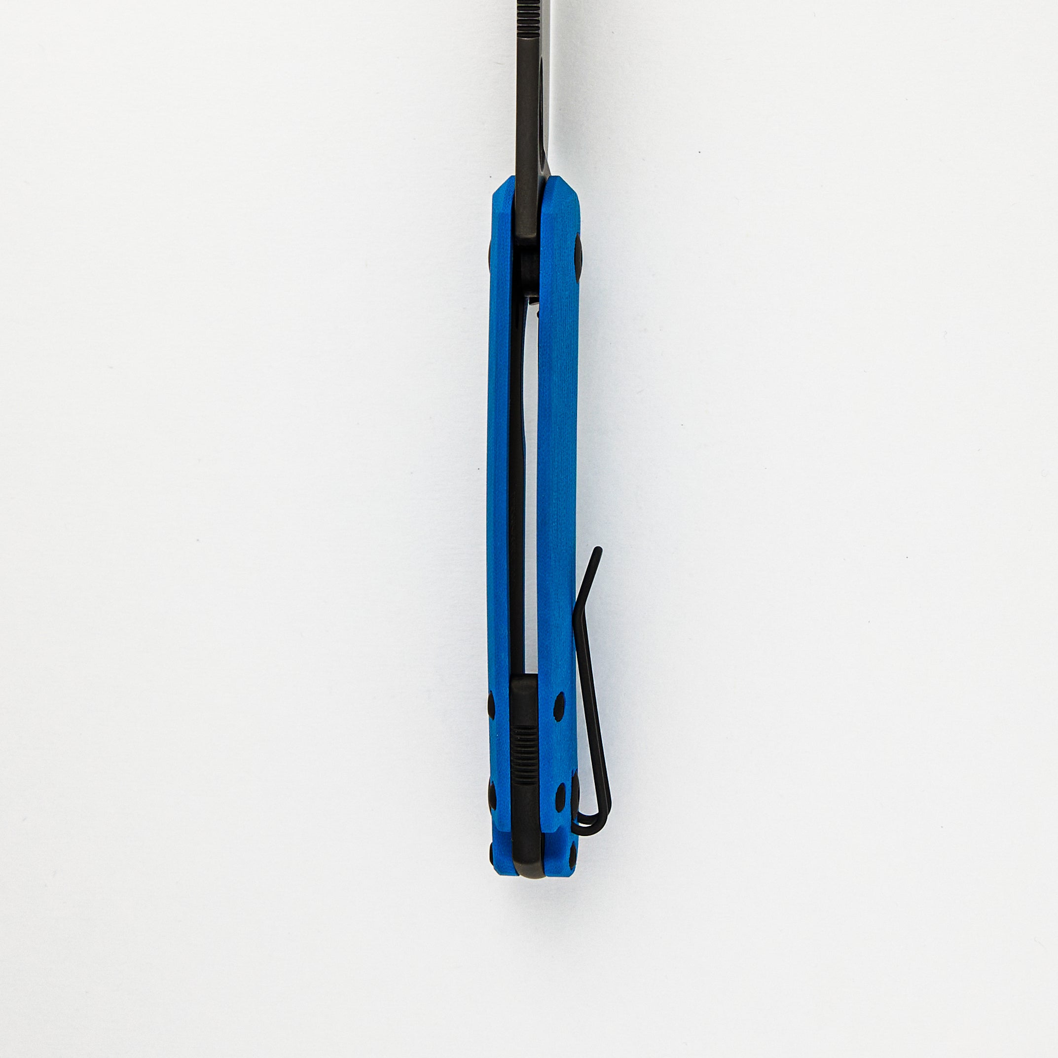 ACE Biblio XL - Blue G10