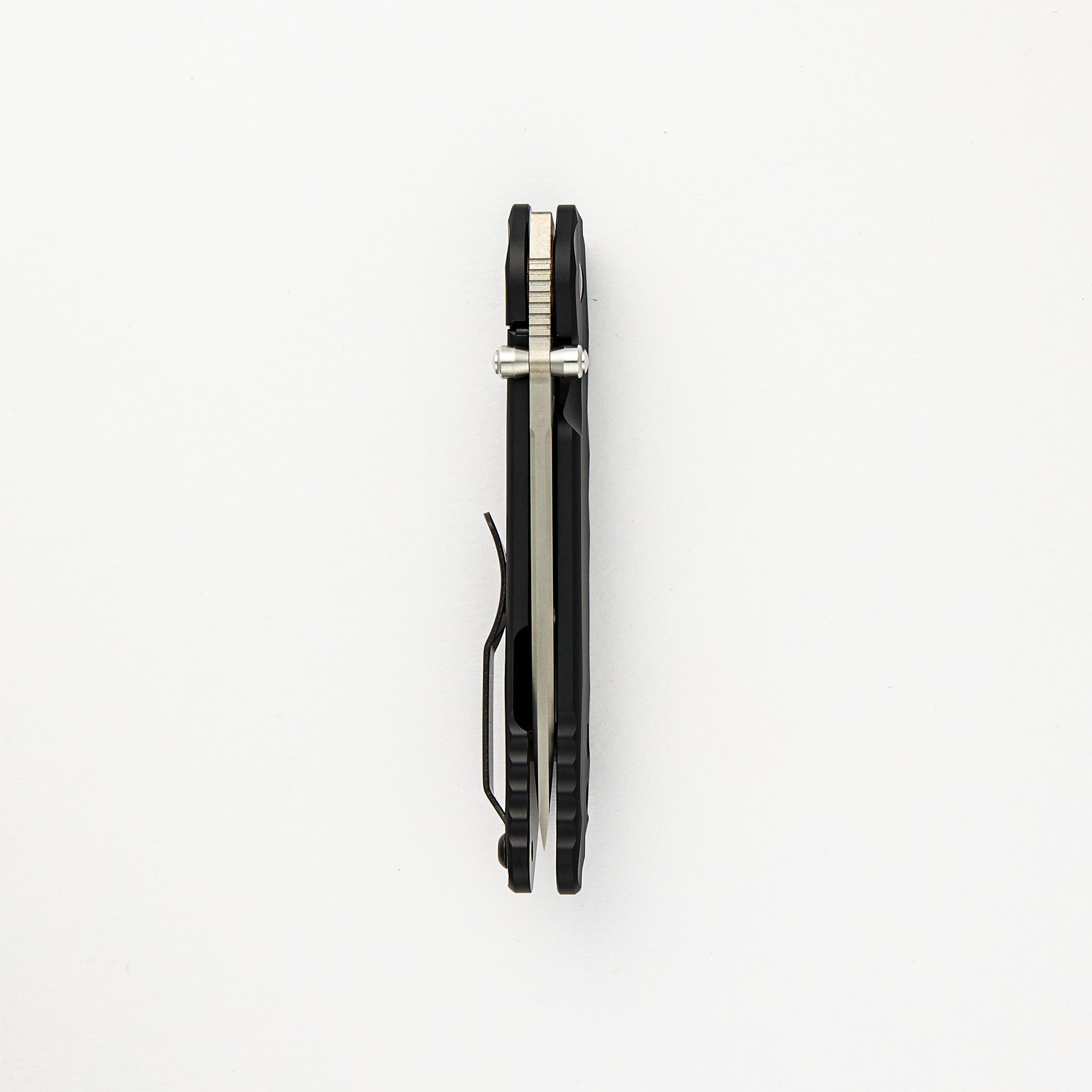 HIZEN-ZDP