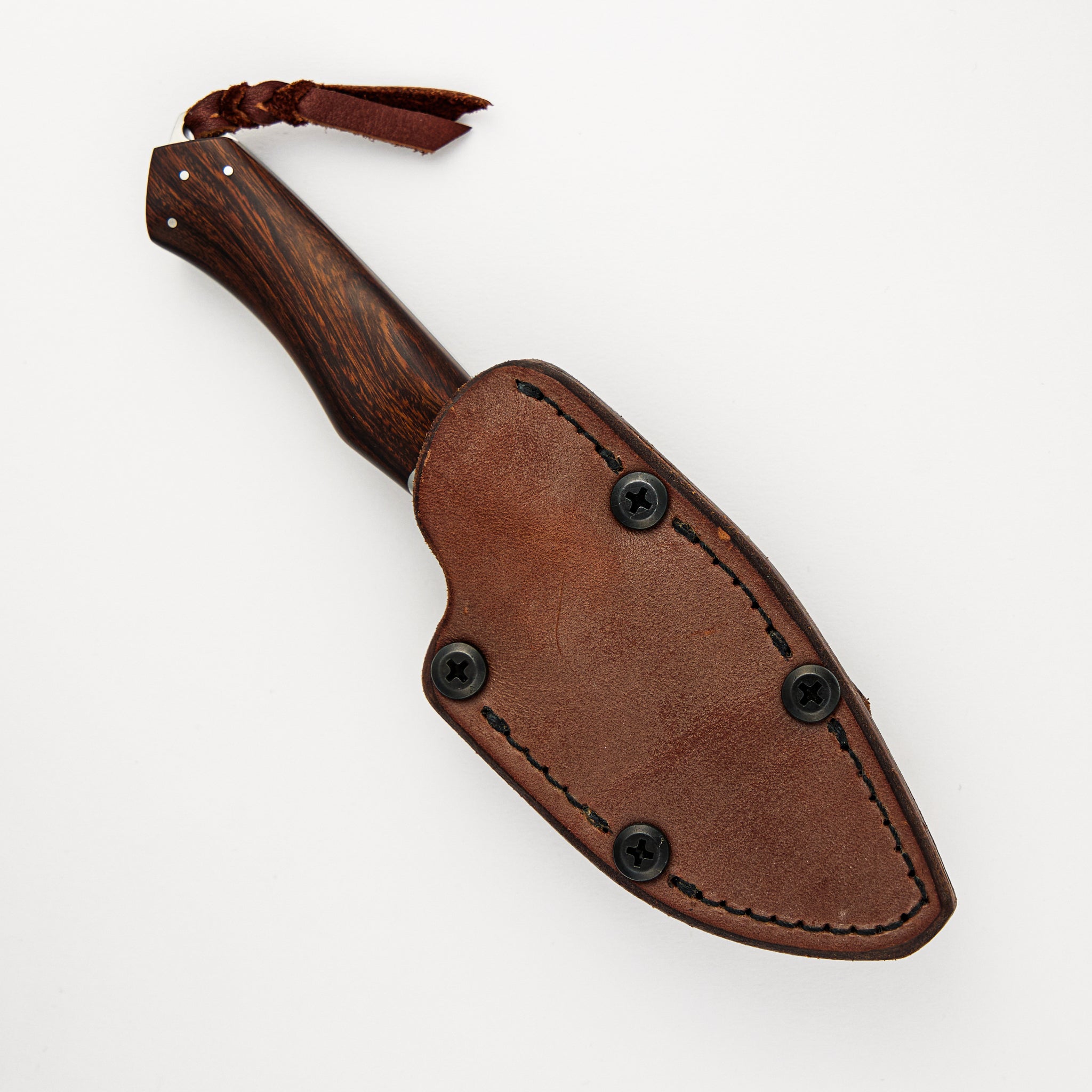 Large Owyhee Hunter