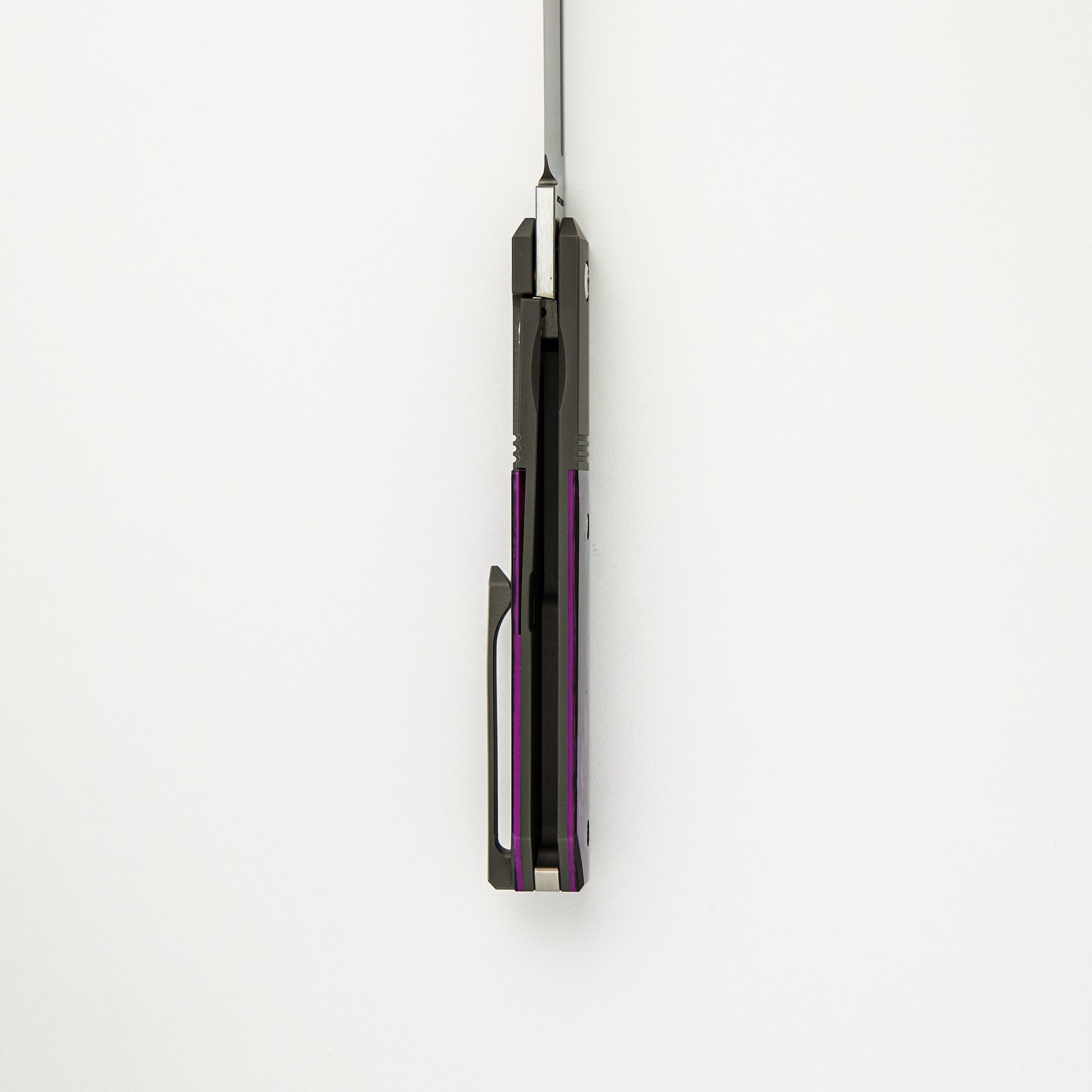 After Hours Jack - Purple Abalone