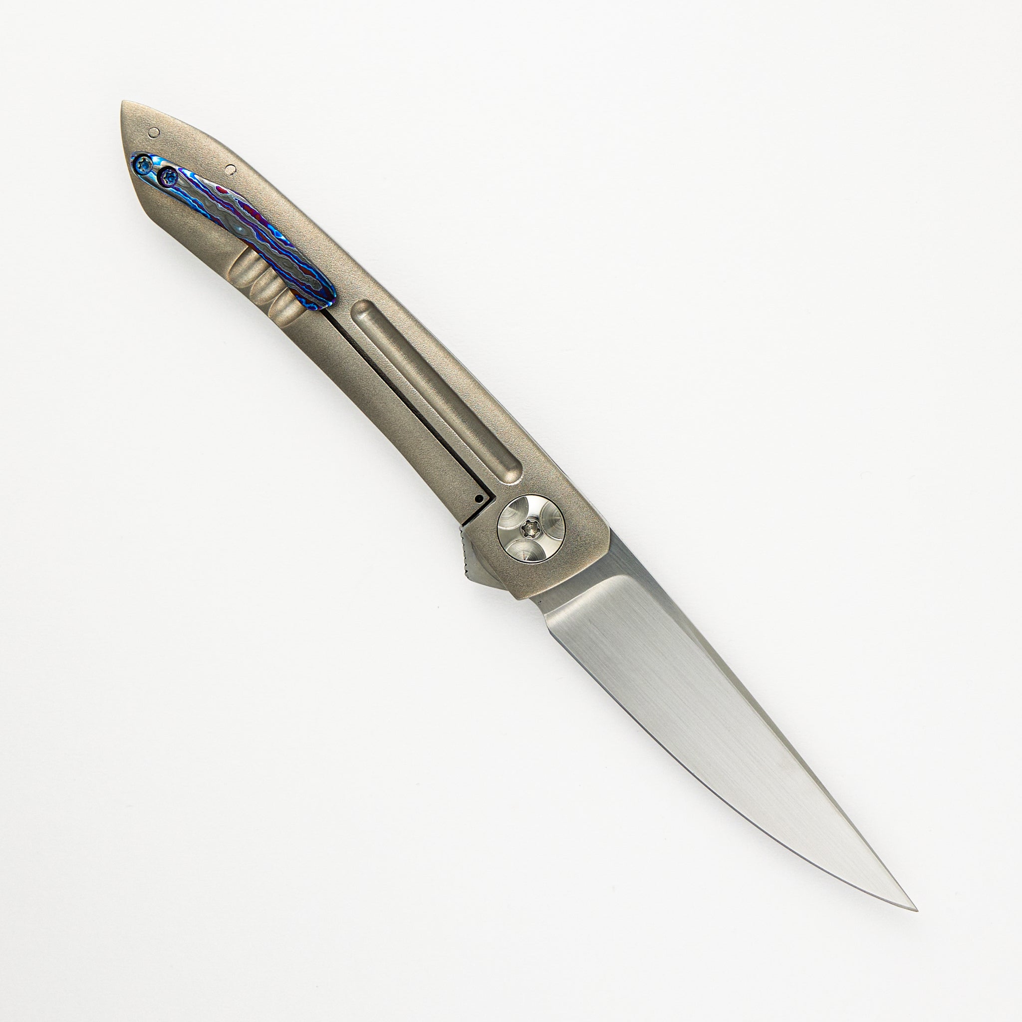 Anchovy