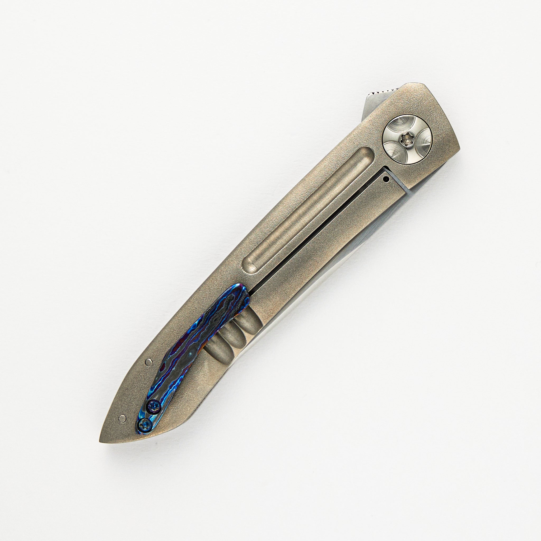 Anchovy