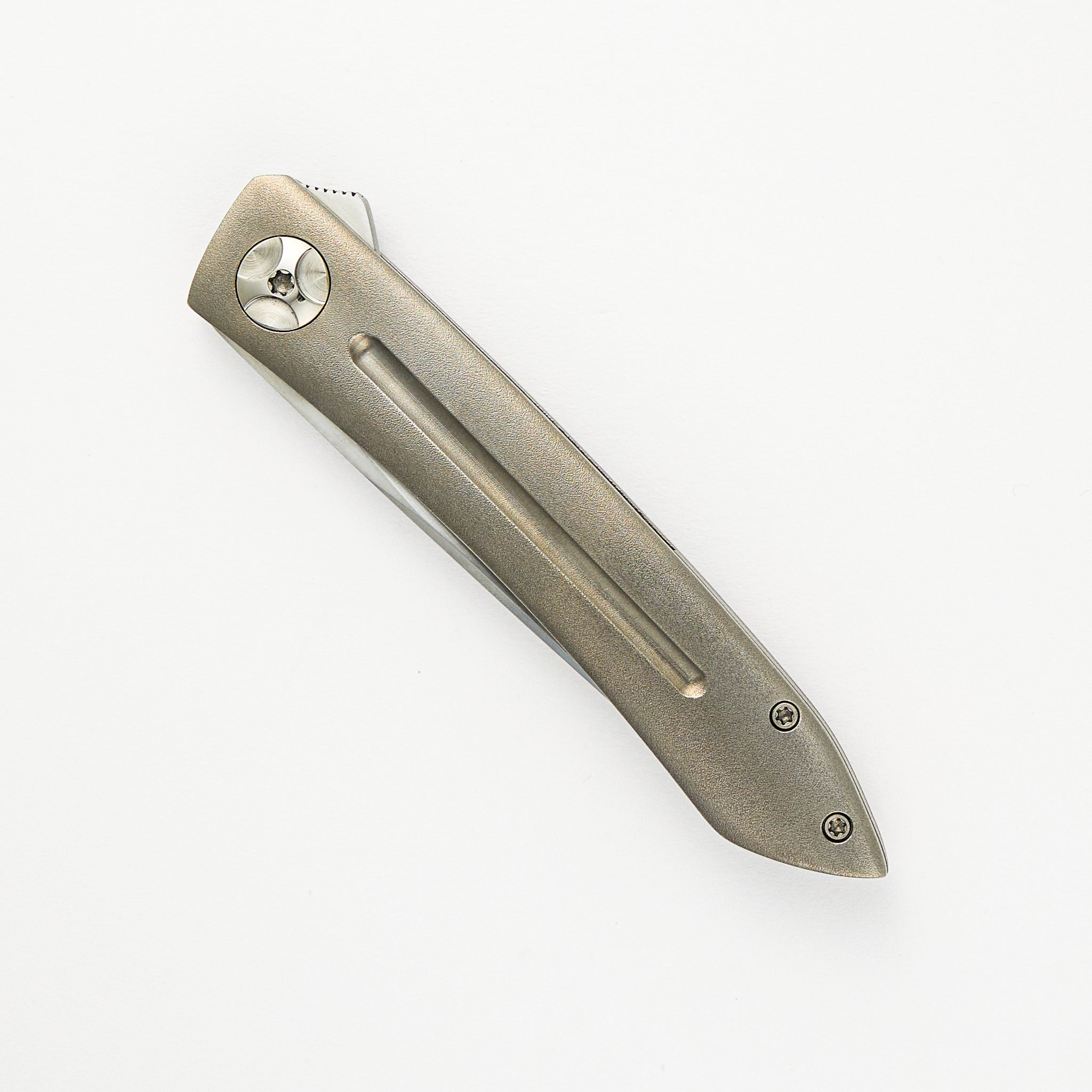Anchovy