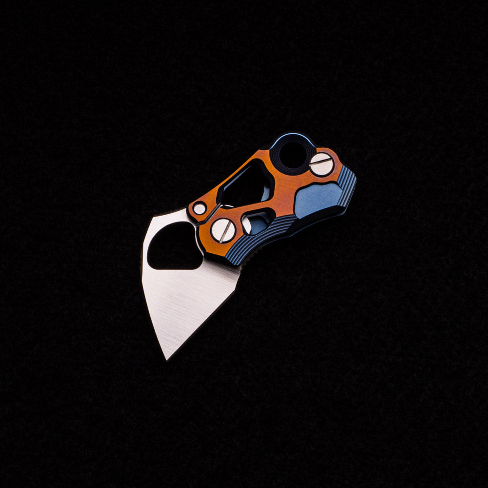 Alexey Konygin Microhierax (Pygmy Falcon) – Bronze-Blue