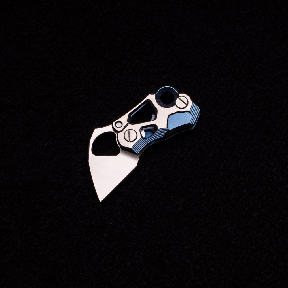 Alexey Konygin Microhierax (Pygmy Falcon) – Blue-Satin