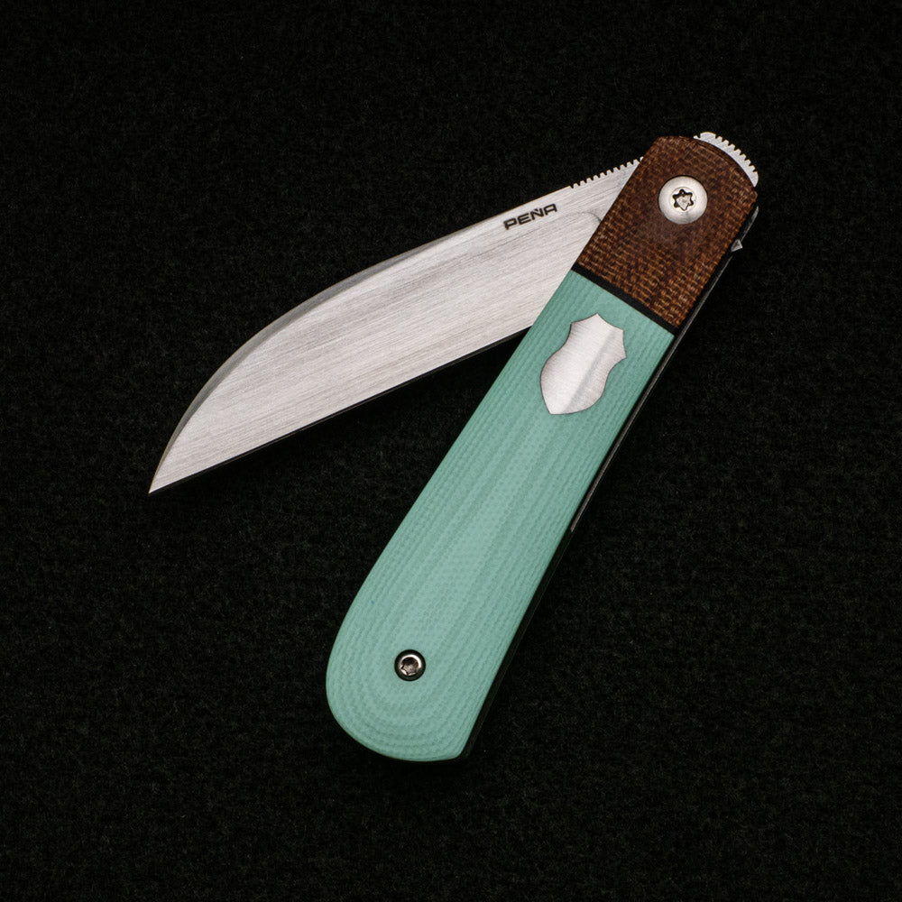 Enrique Pena Swayback Front Flipper