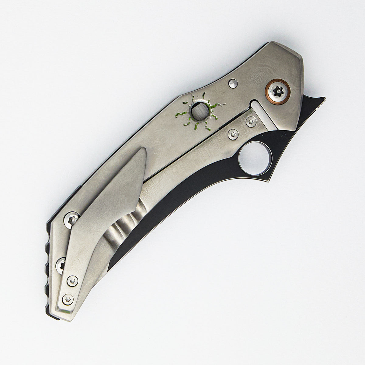 Alligator