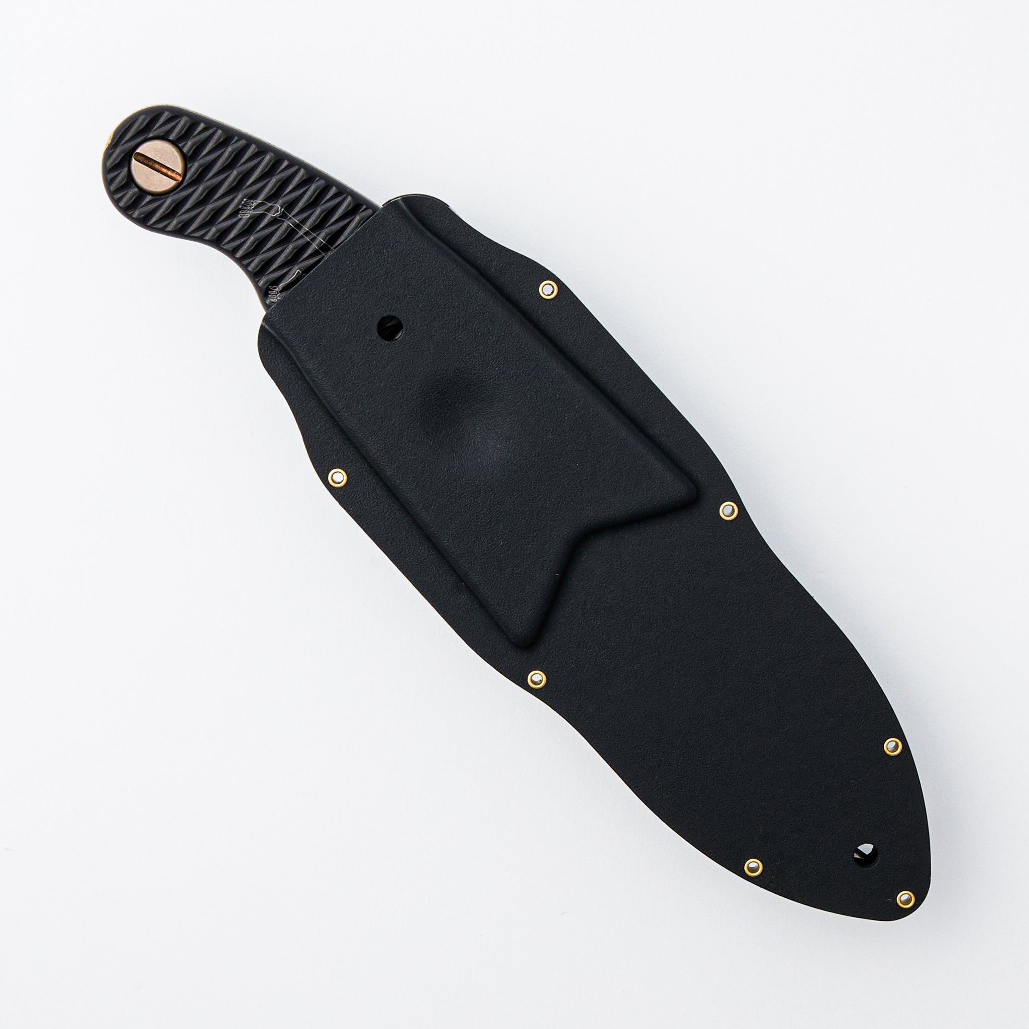 Ed Calderon Collaboration The Elvia