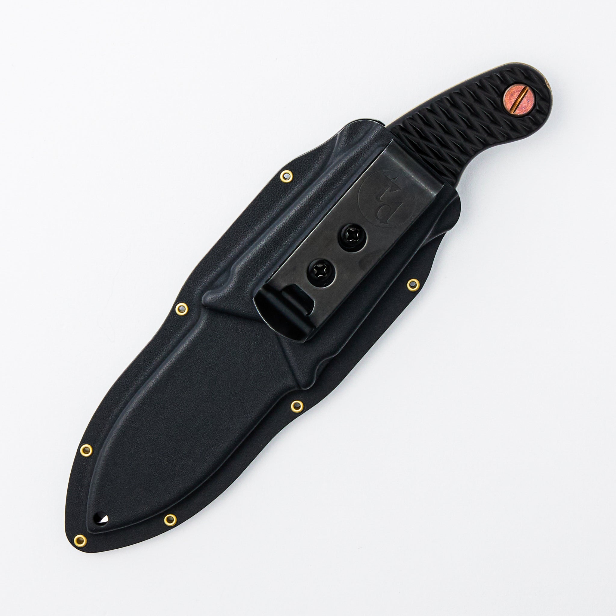 Ed Calderon Collaboration The Elvia