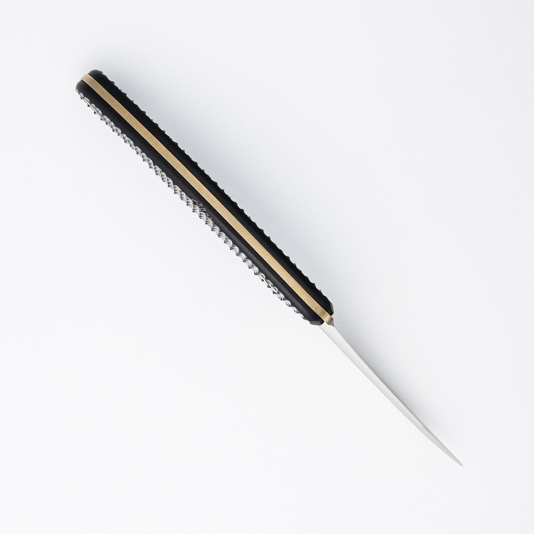 Ed Calderon Collaboration The Elvia