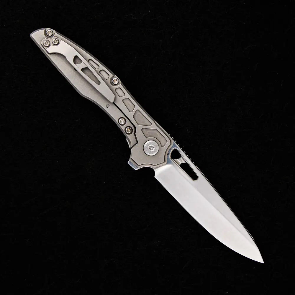 TJ SCHWARTZ TORRENT