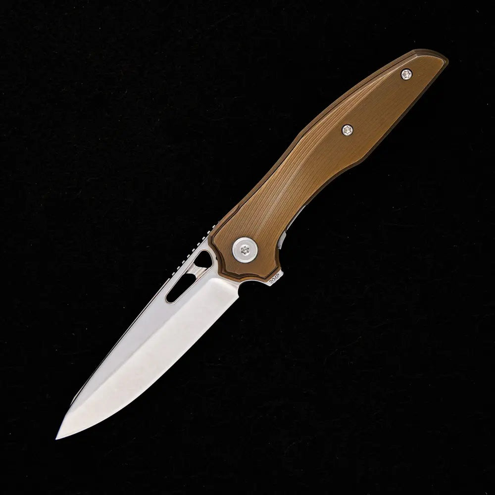 TJ SCHWARTZ TORRENT