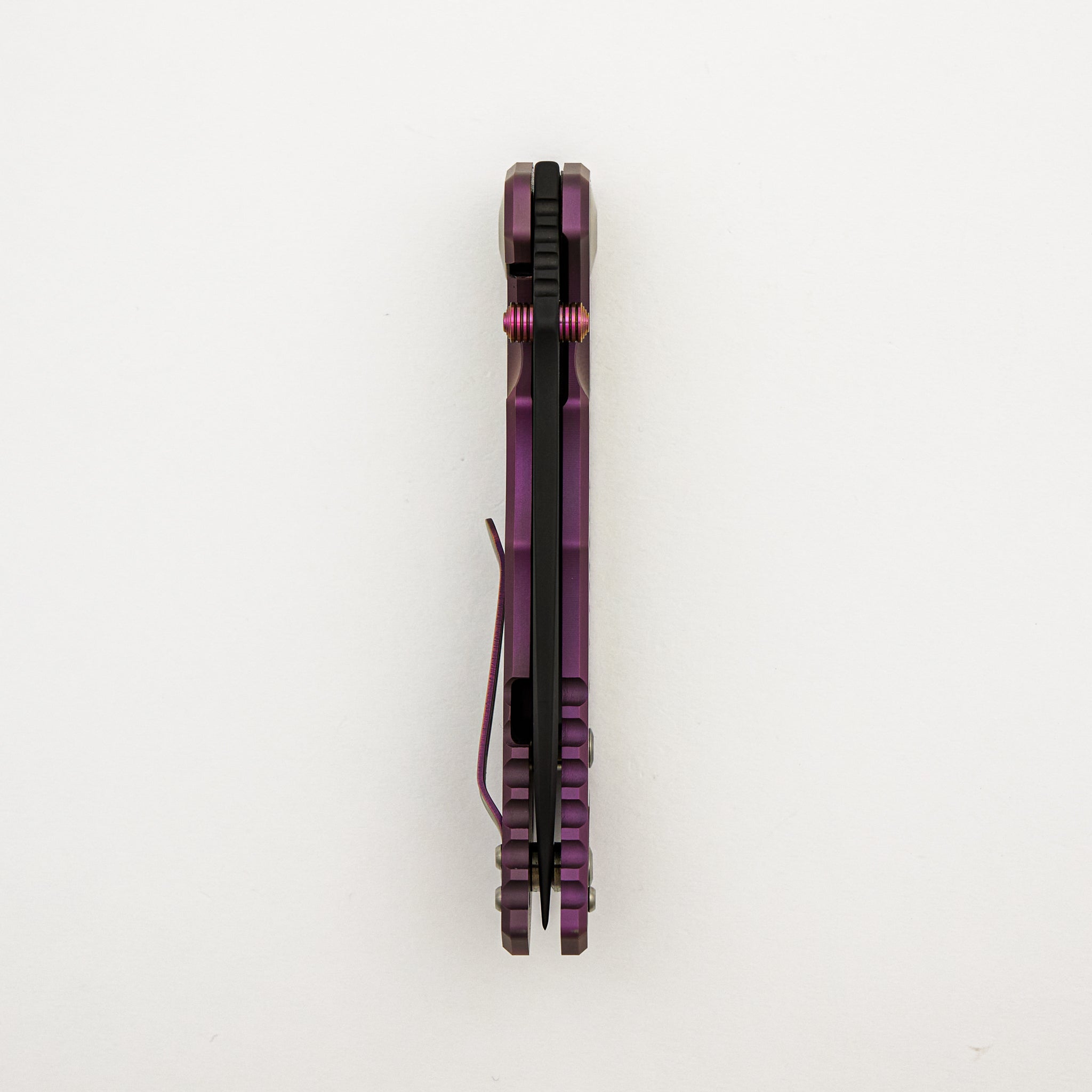Harsey Folder Custom - F Cancer