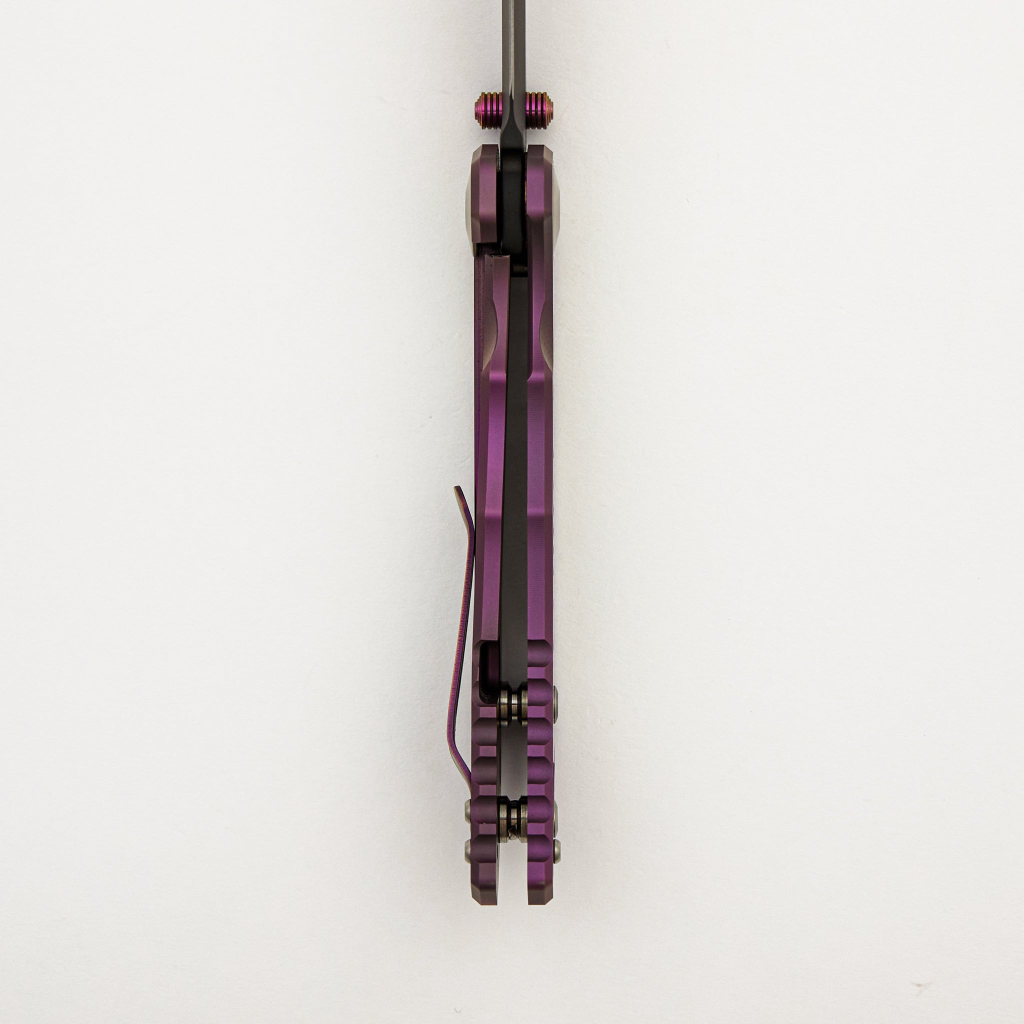 Harsey Folder Custom - F Cancer