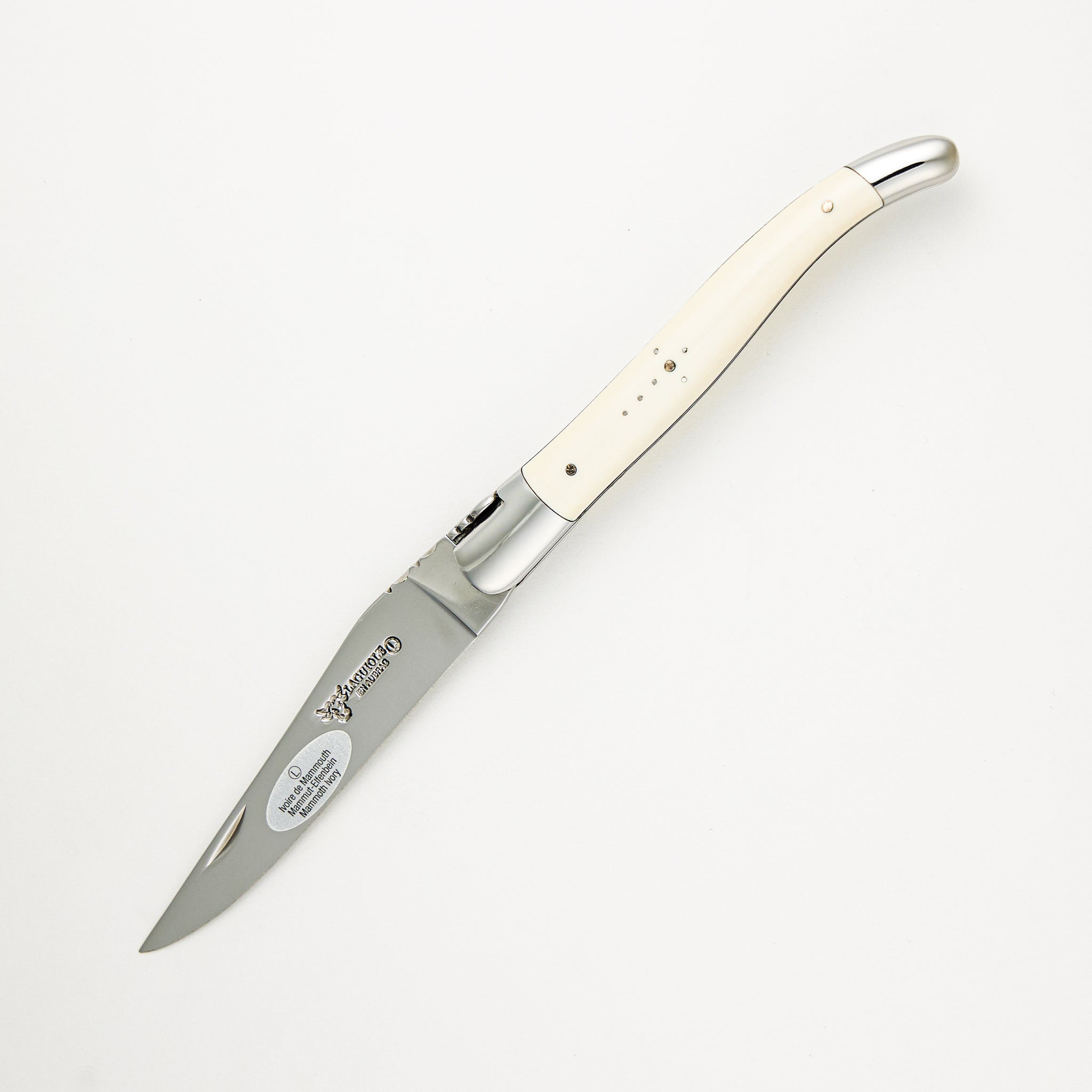 Laguiole Aubrac 12cm Folder